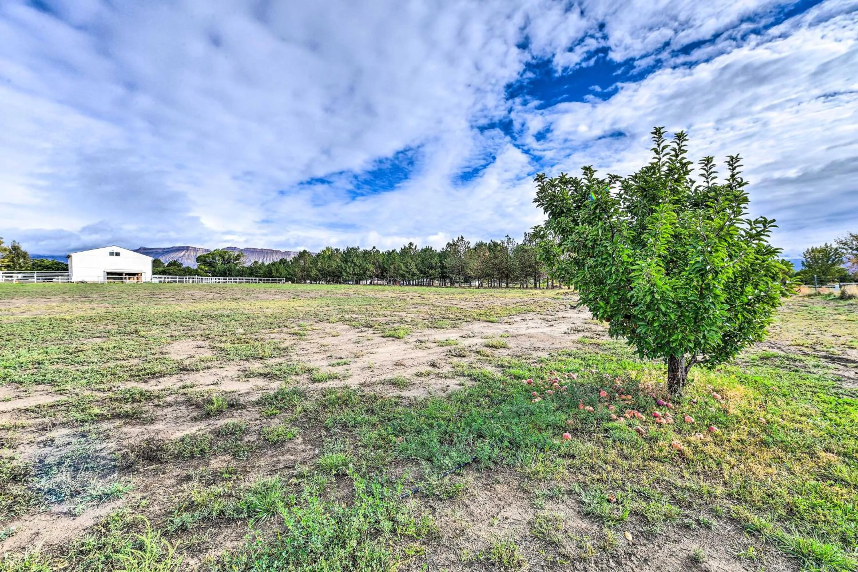 The Vineyard Country Farm Home at Grand Valley