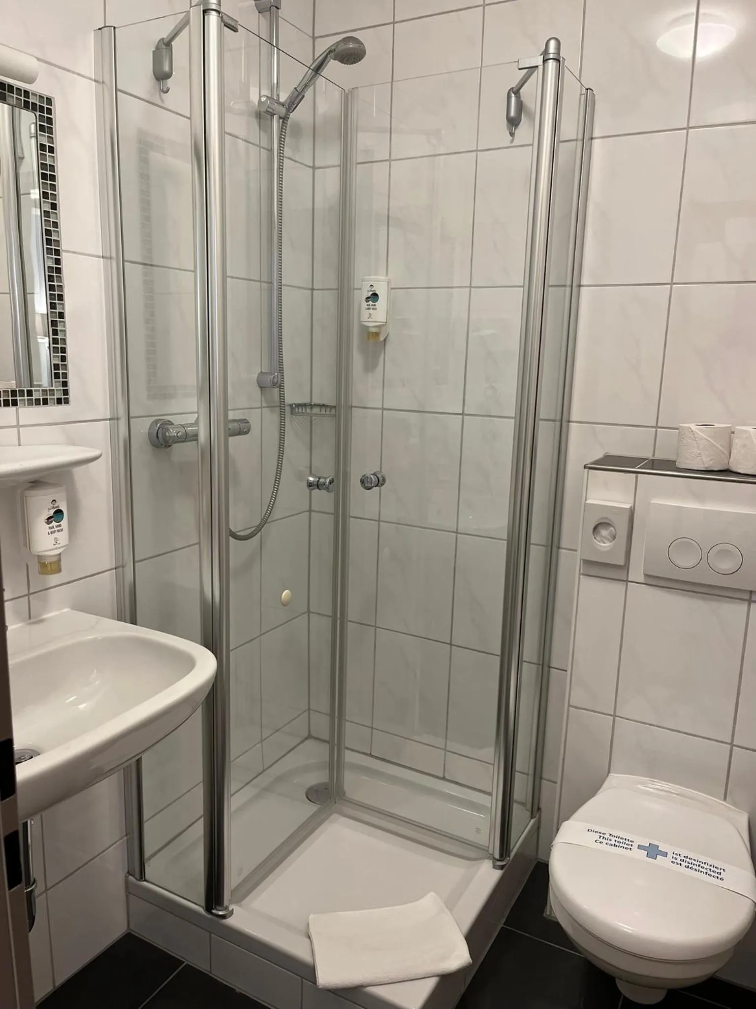 Shower in Stadt-gut-Hotel Siegboot