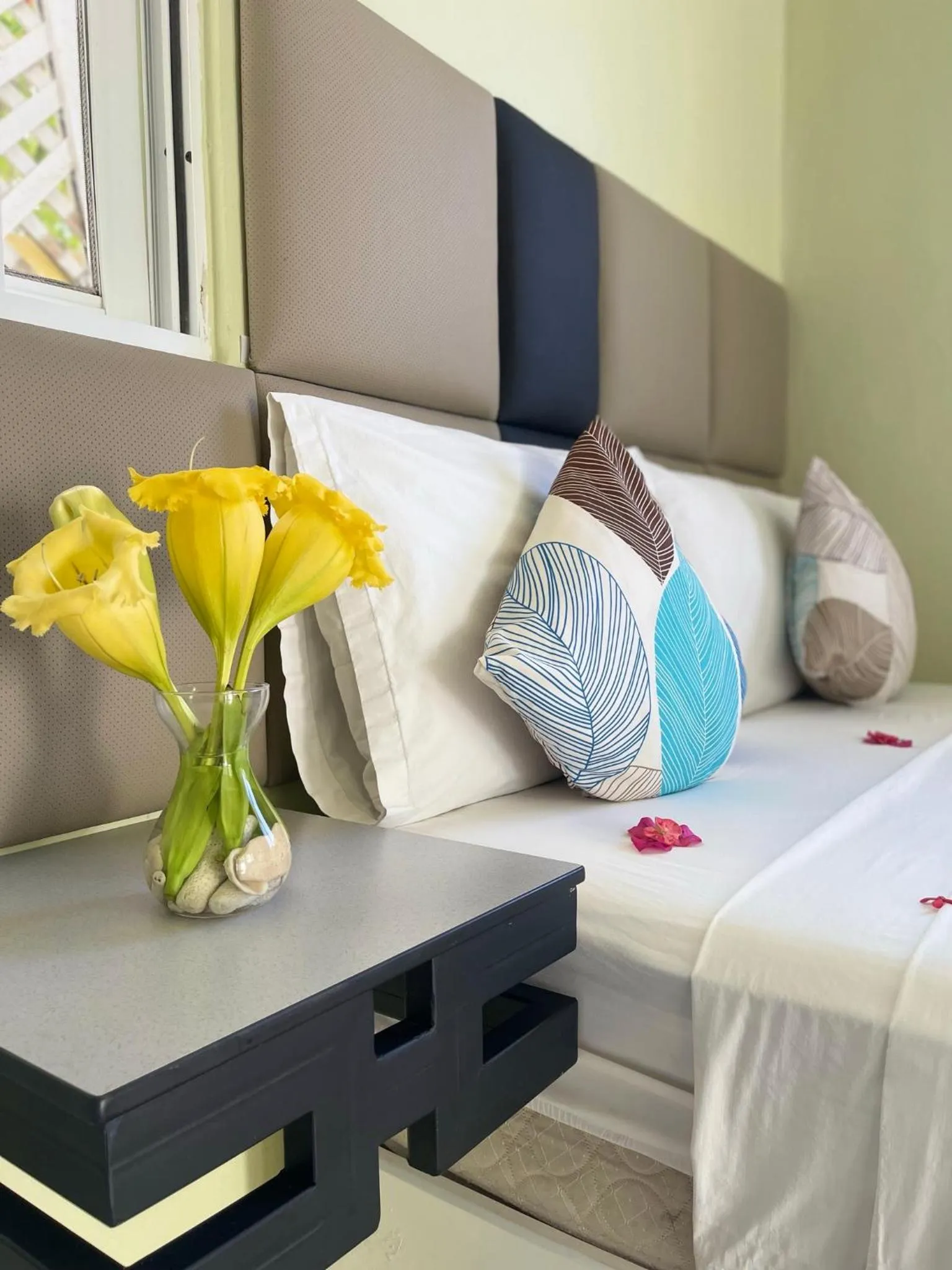 Standard Twin Room - single occupancy in Villa Iguana