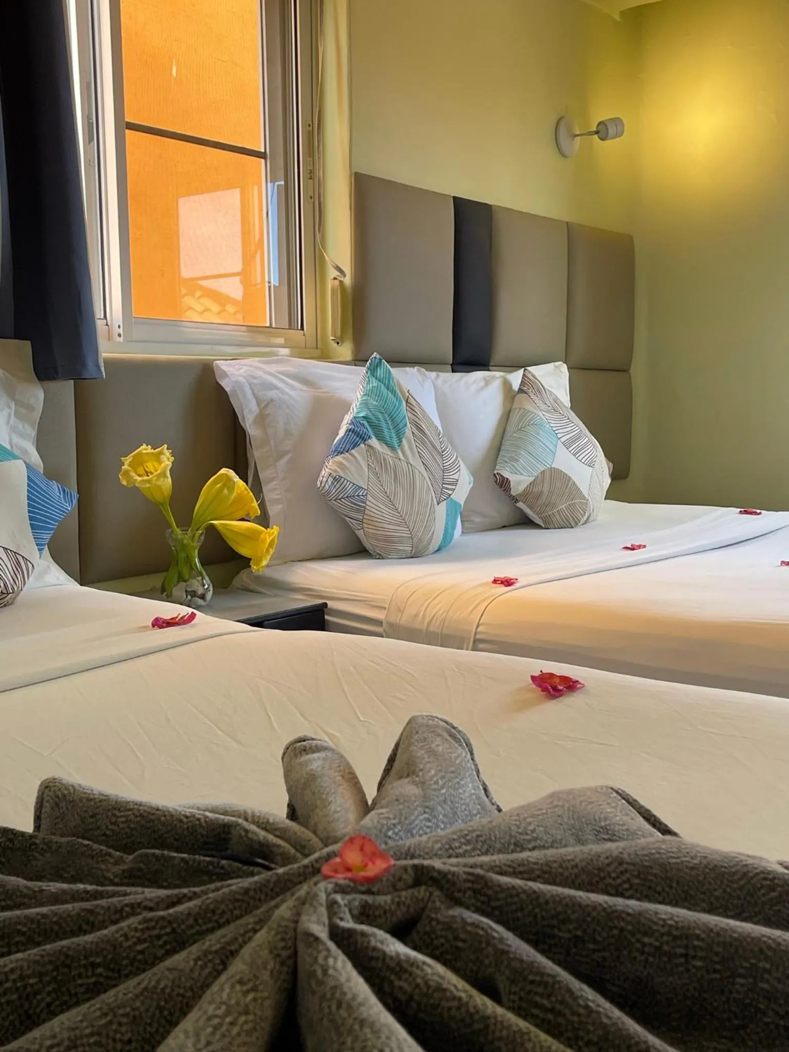 Family Room - single occupancy - Shell in Villa Iguana