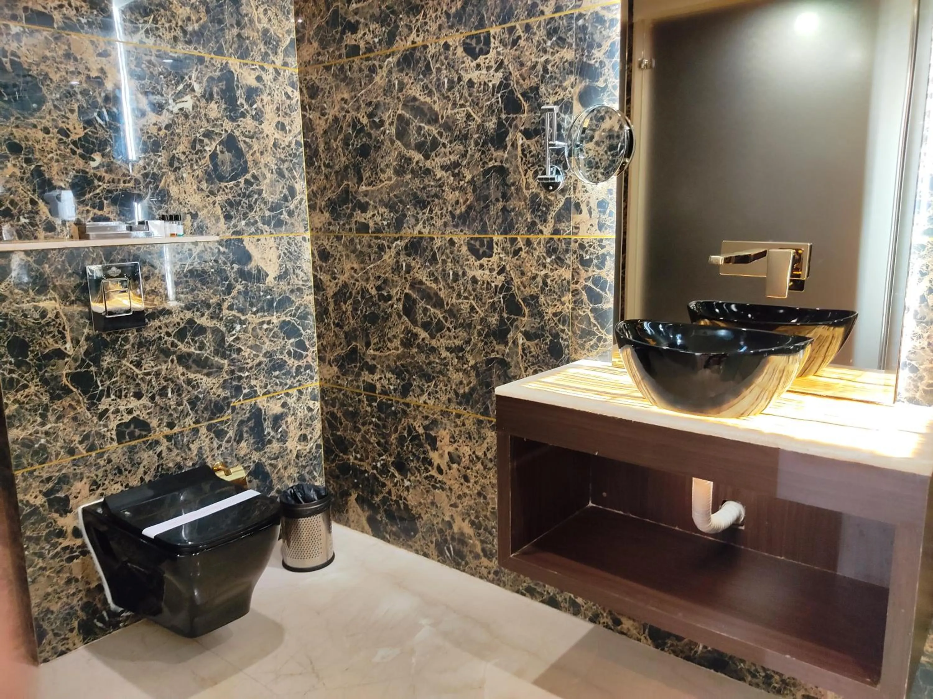 Toilet in Divan Clarks Inn Goa