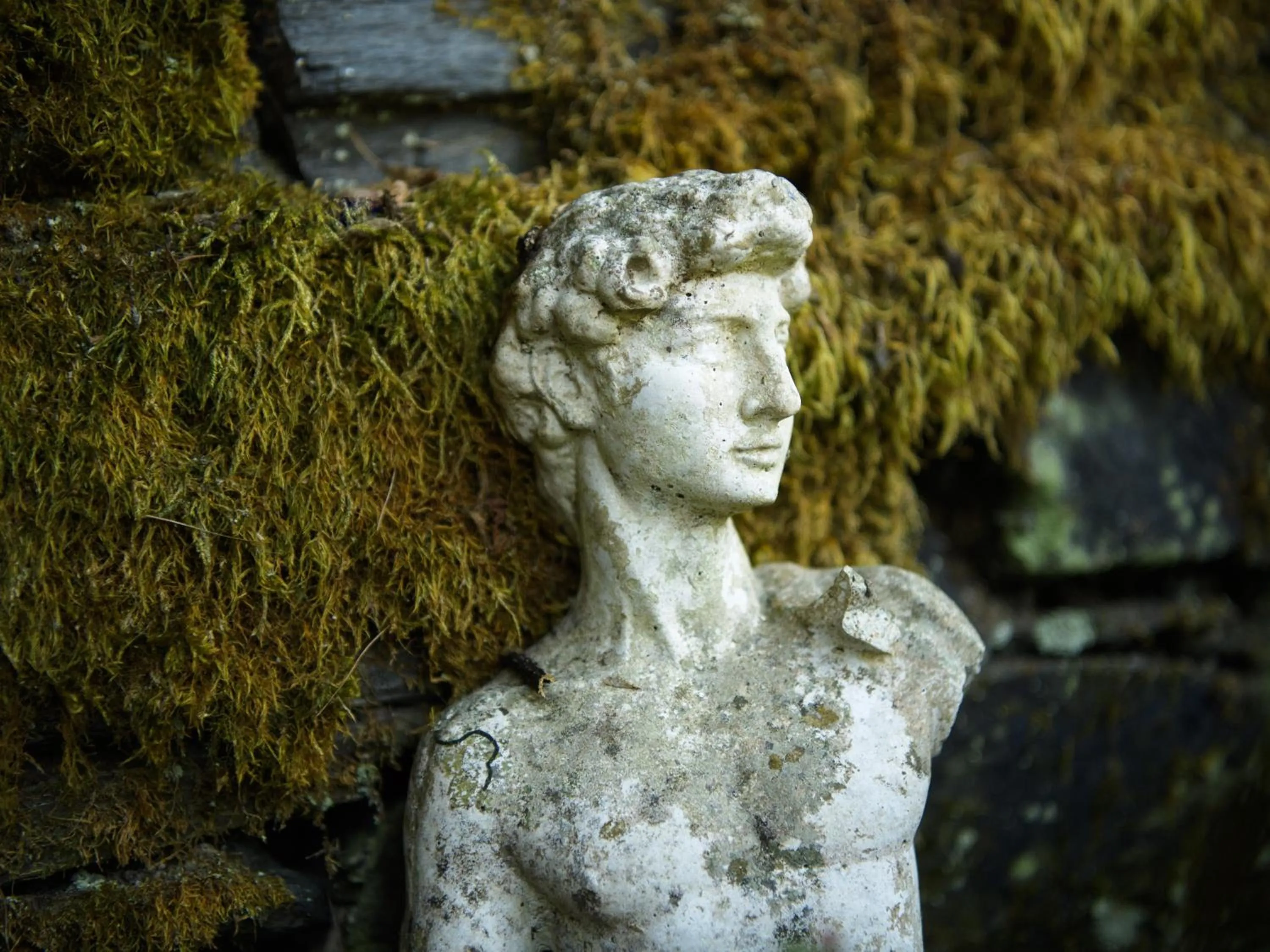 View (from property/room) in Boutique-Hotel Jungenwald