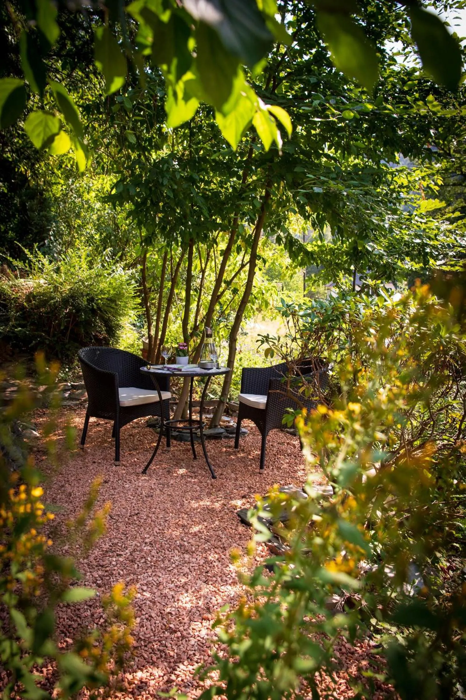 Activities in Boutique-Hotel Jungenwald