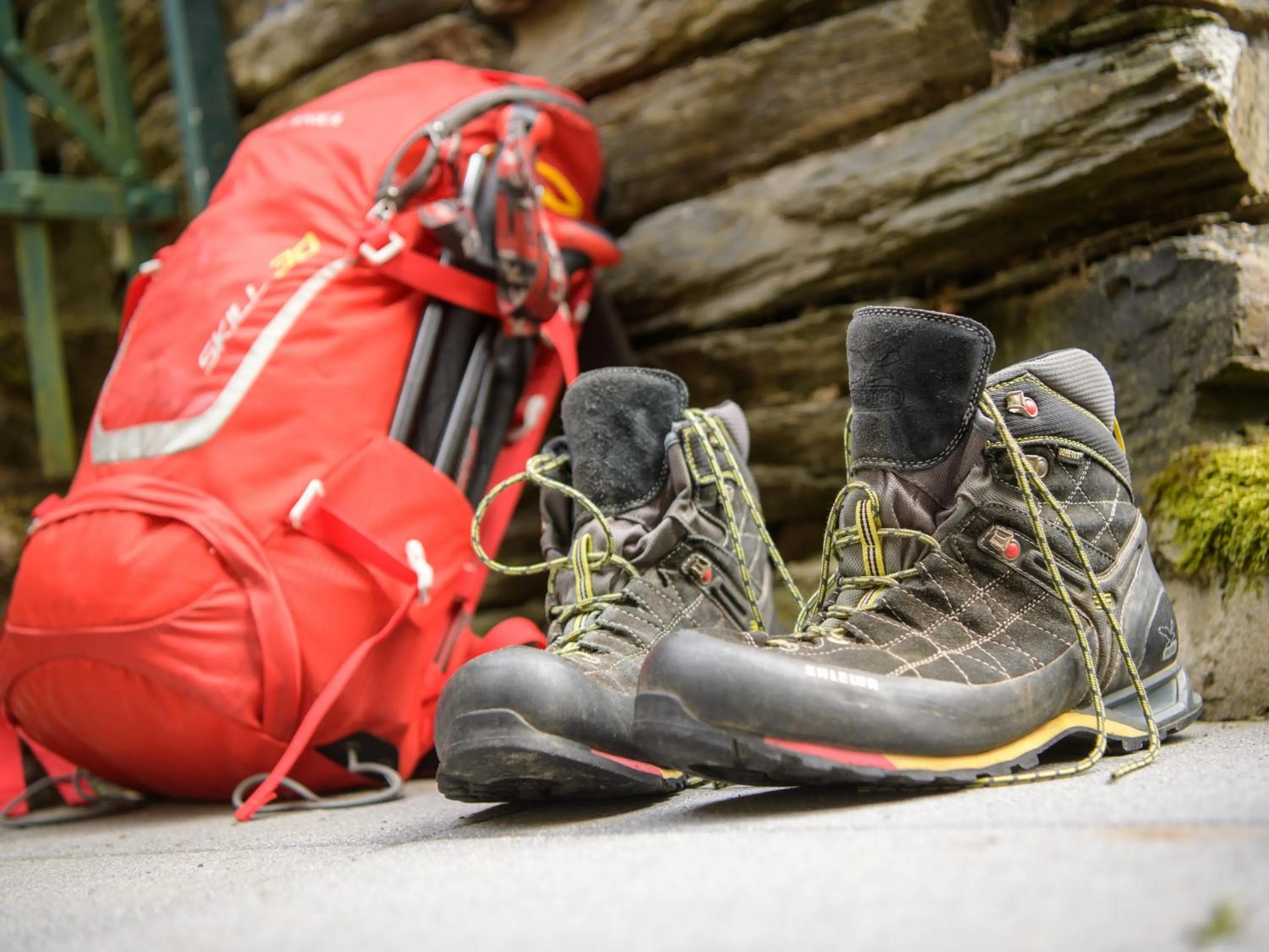 Activities in Boutique-Hotel Jungenwald