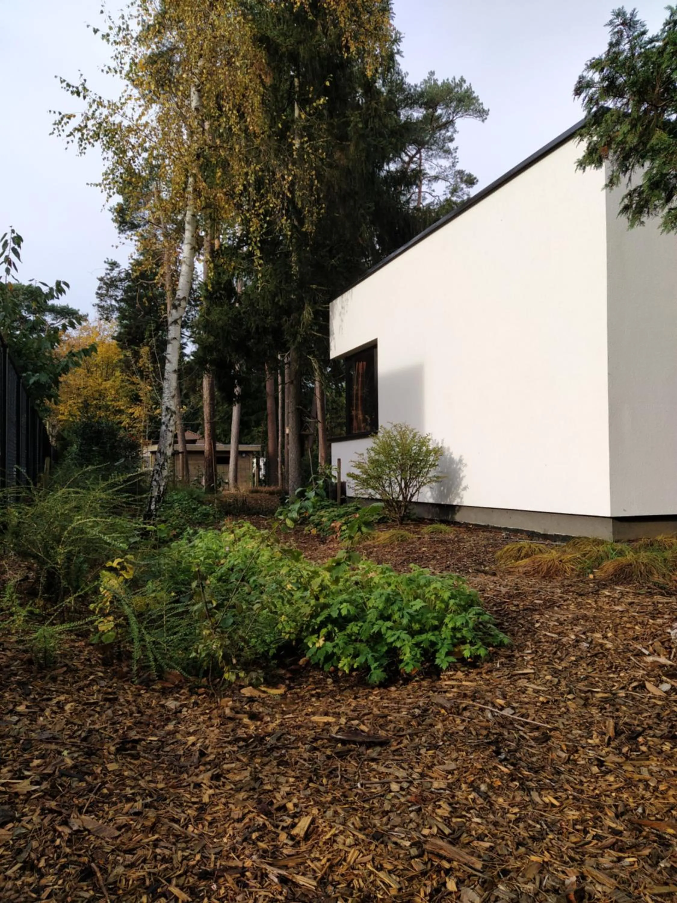 Garden in B&B Altijd Zomer