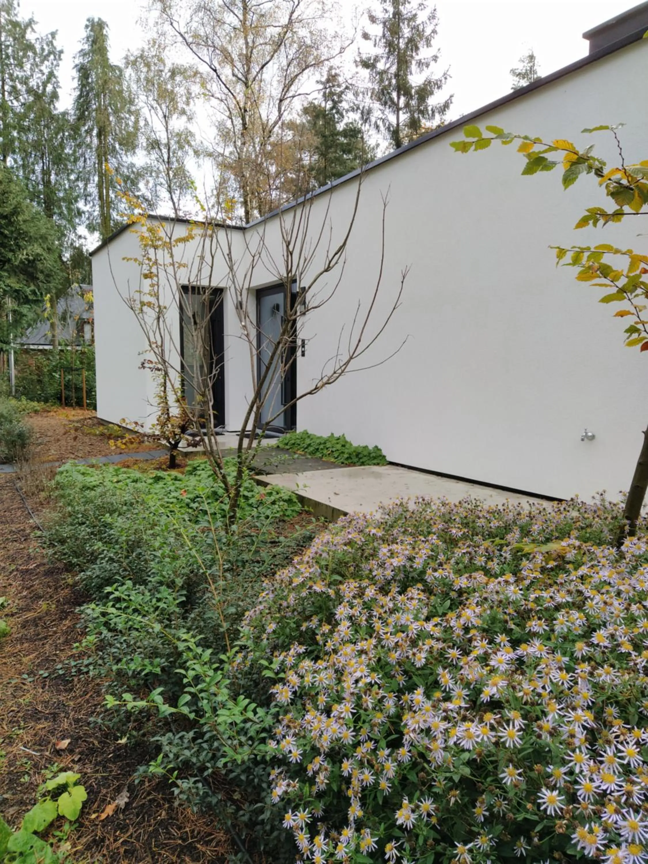 Garden in B&B Altijd Zomer