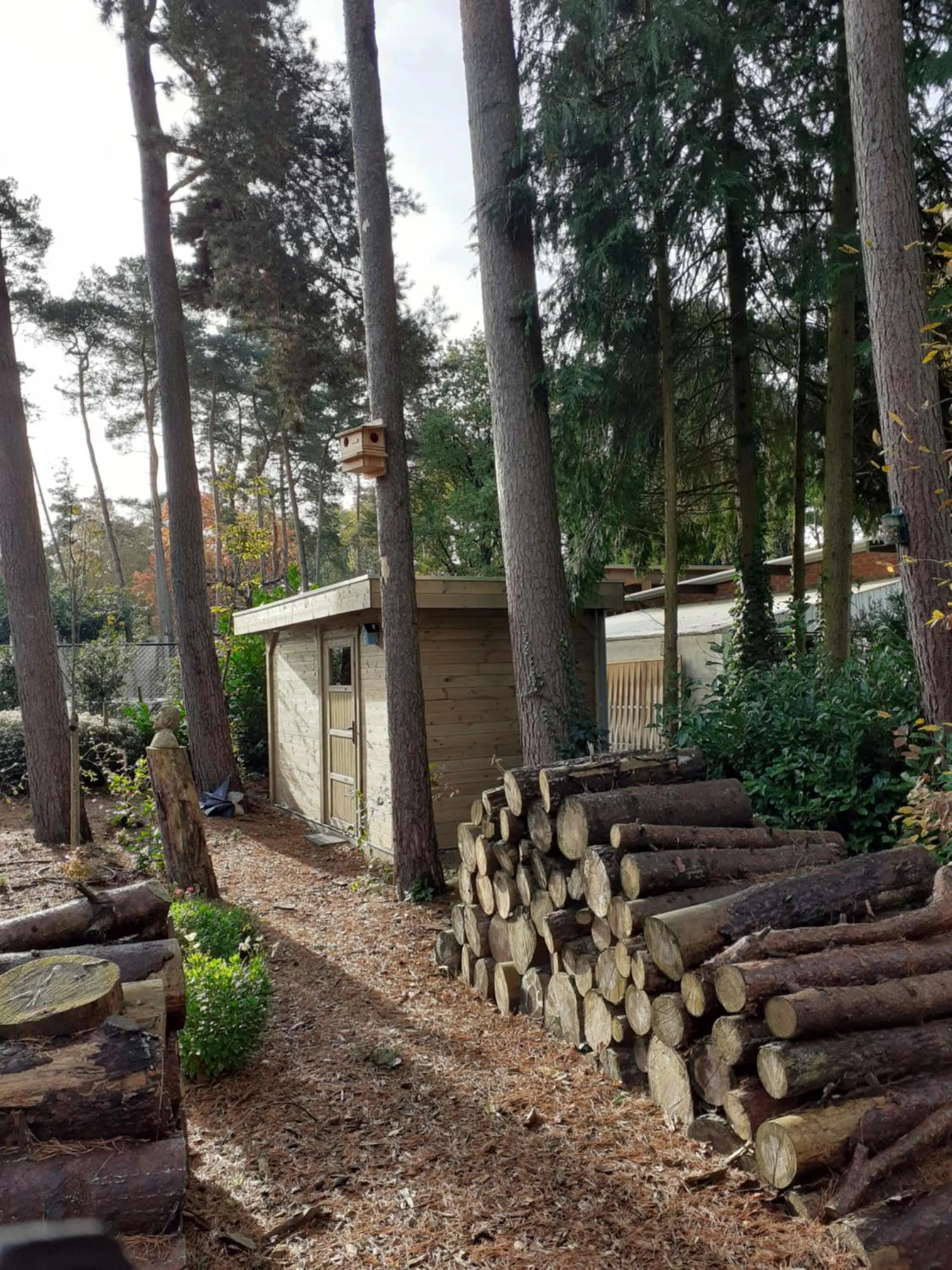 Garden in B&B Altijd Zomer