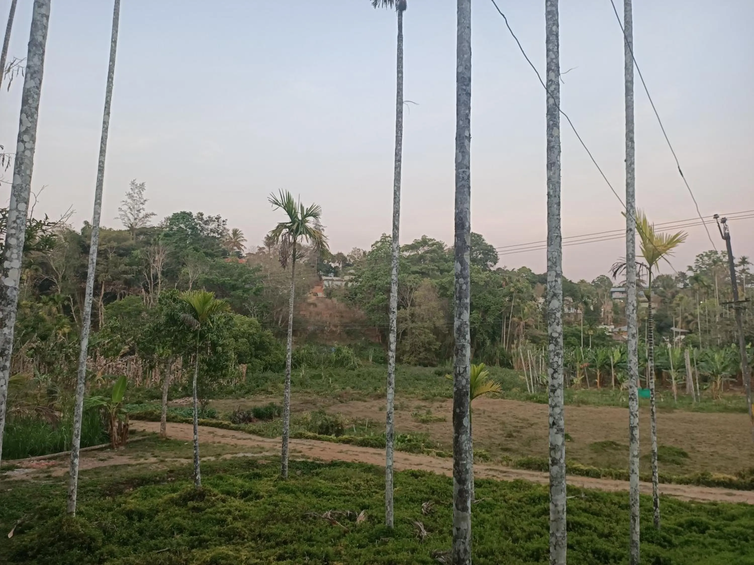 View (from property/room) in Bethel Service Villa, Mananthavady, Wayanad