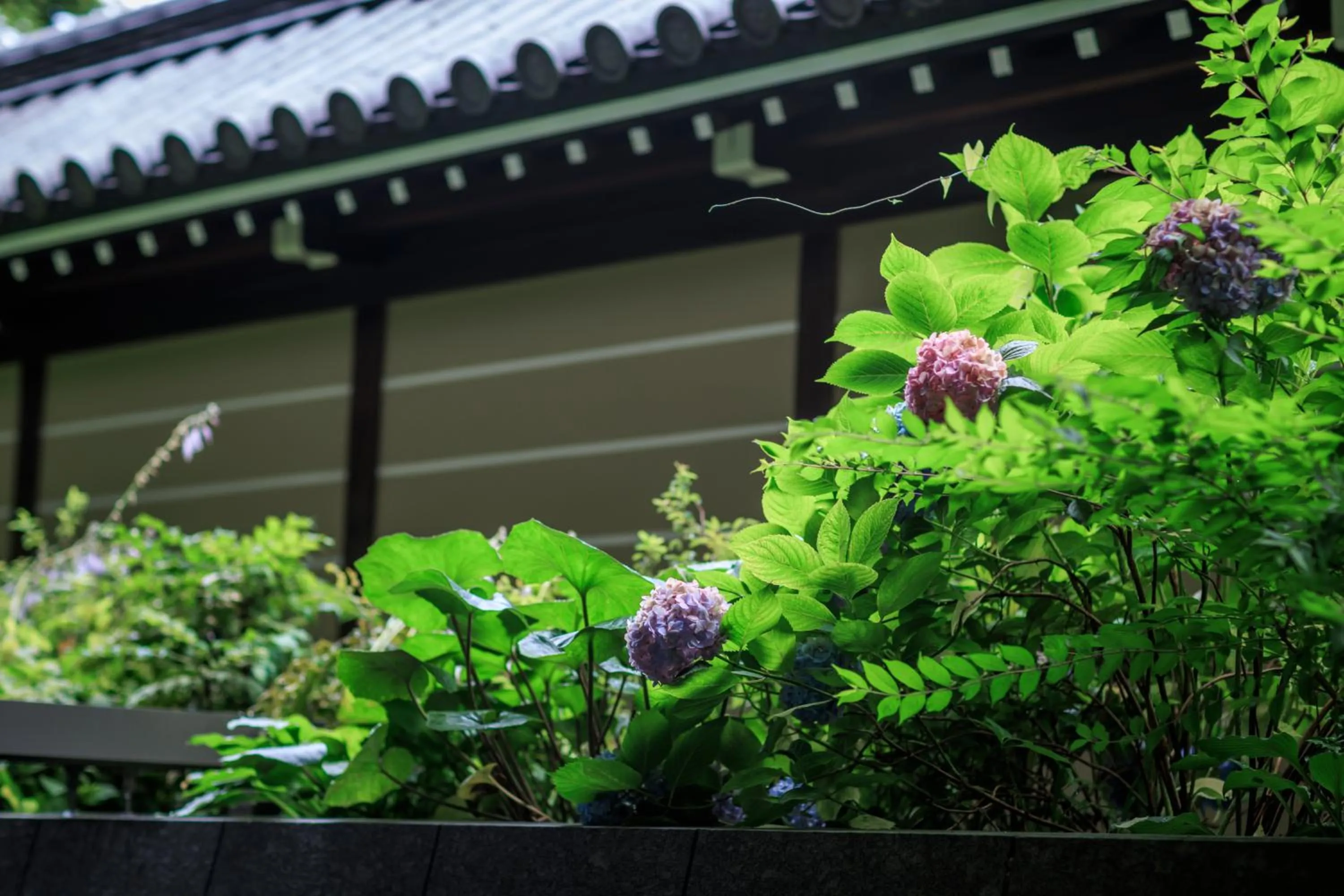 Summer in Hotel Okura Kyoto Okazaki Bettei