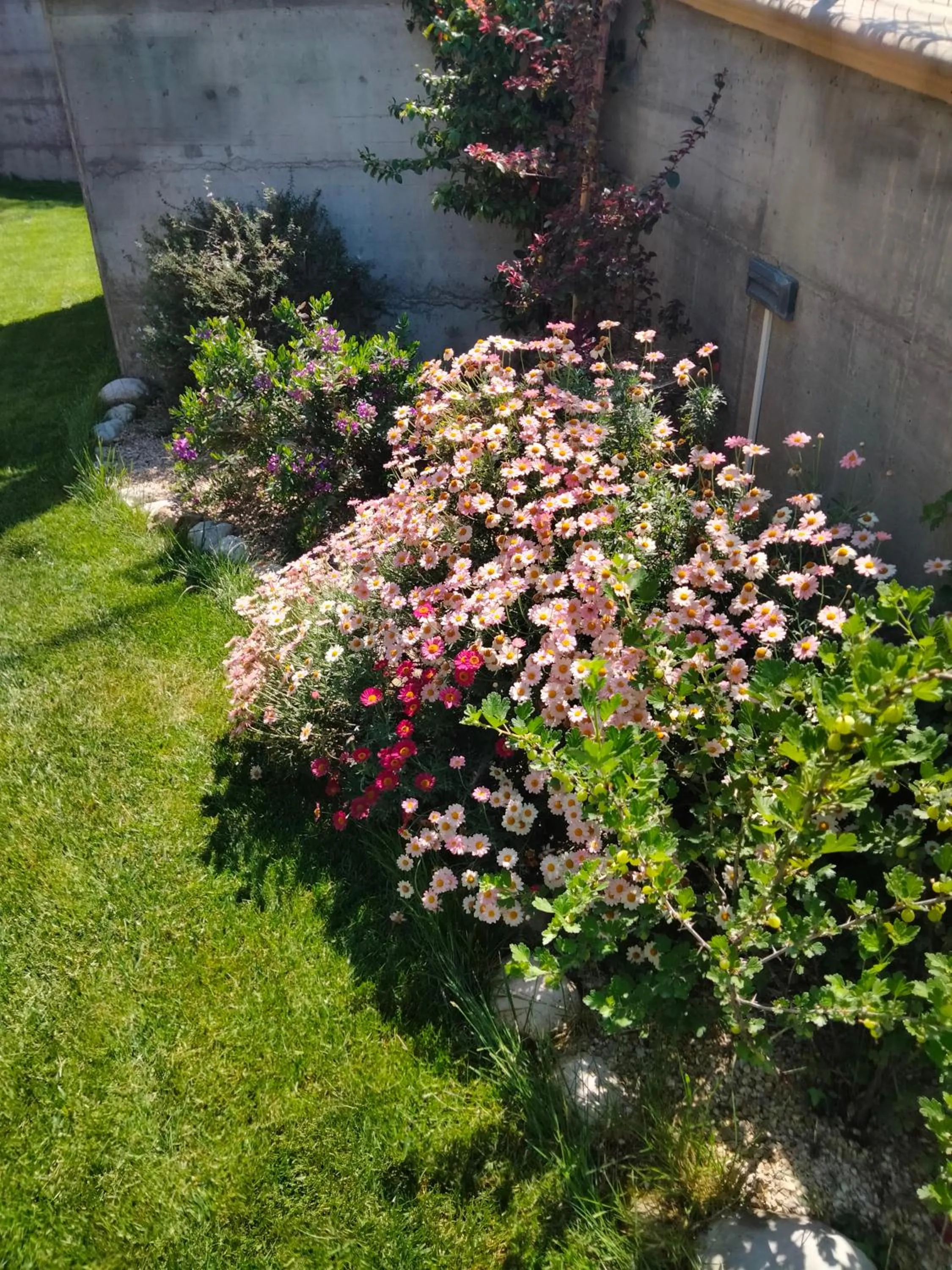 Spring in B&B La Casa di Giuliana