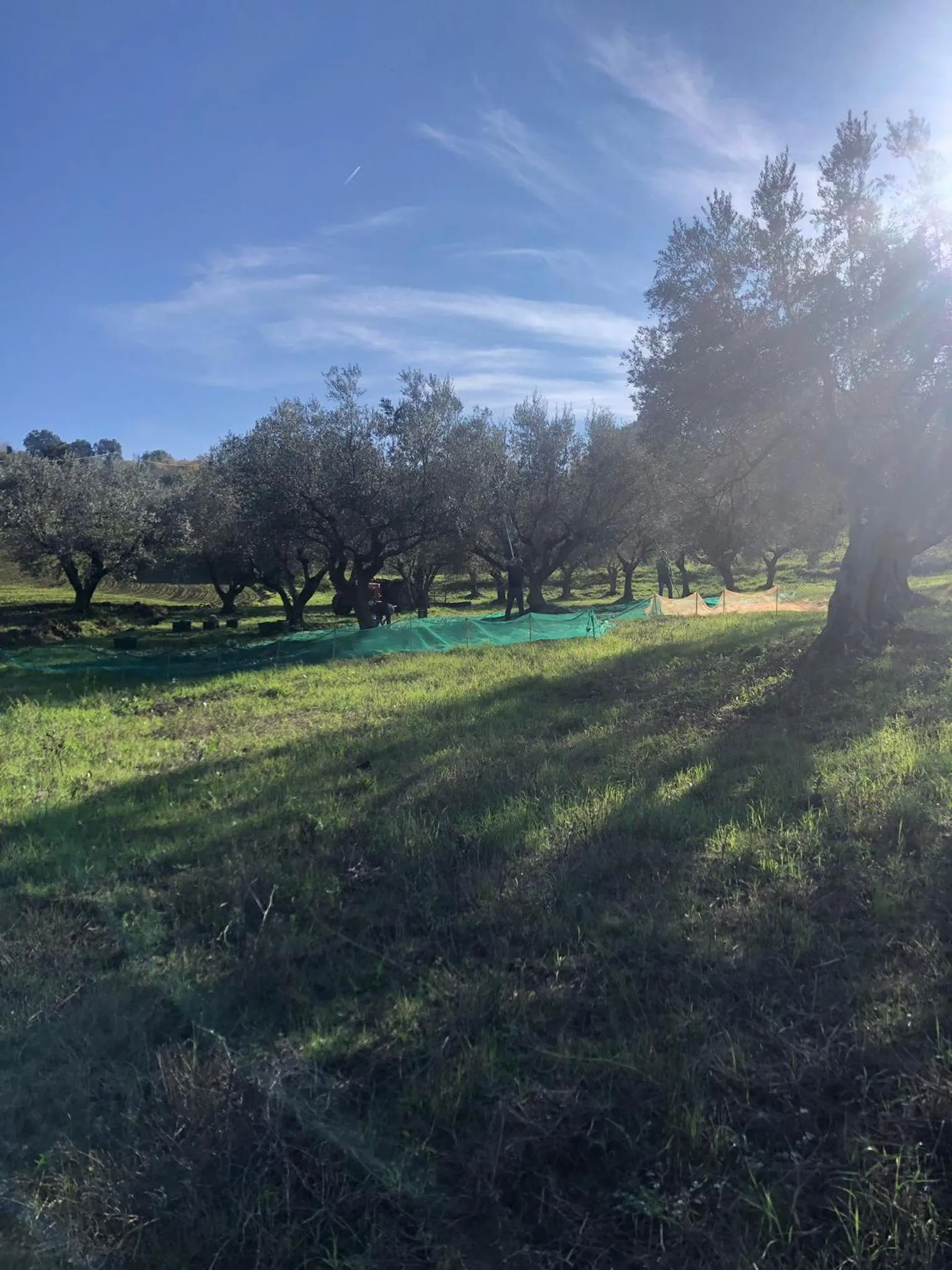 Natural landscape in B&B La Casa di Giuliana