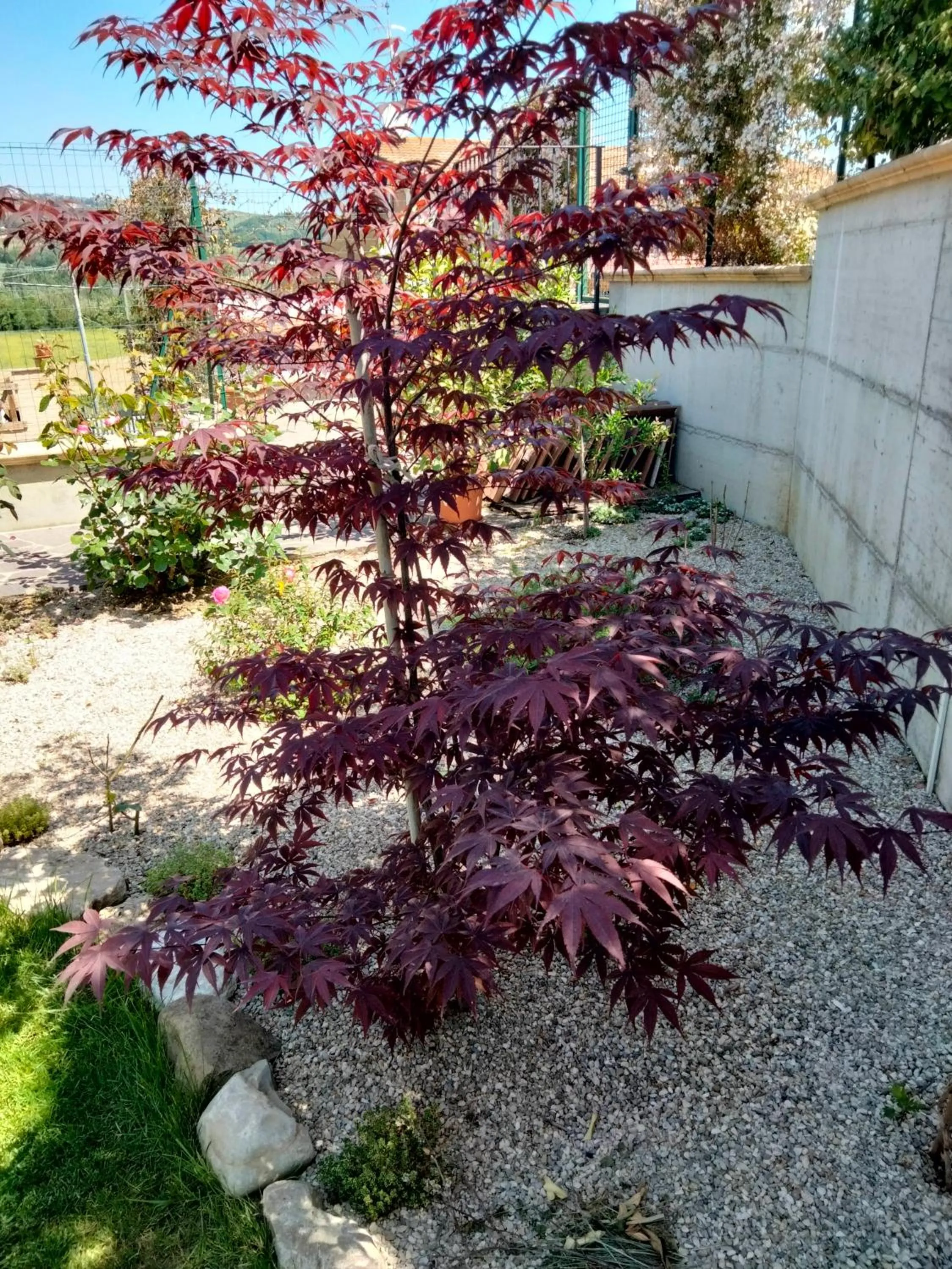 Spring in B&B La Casa di Giuliana