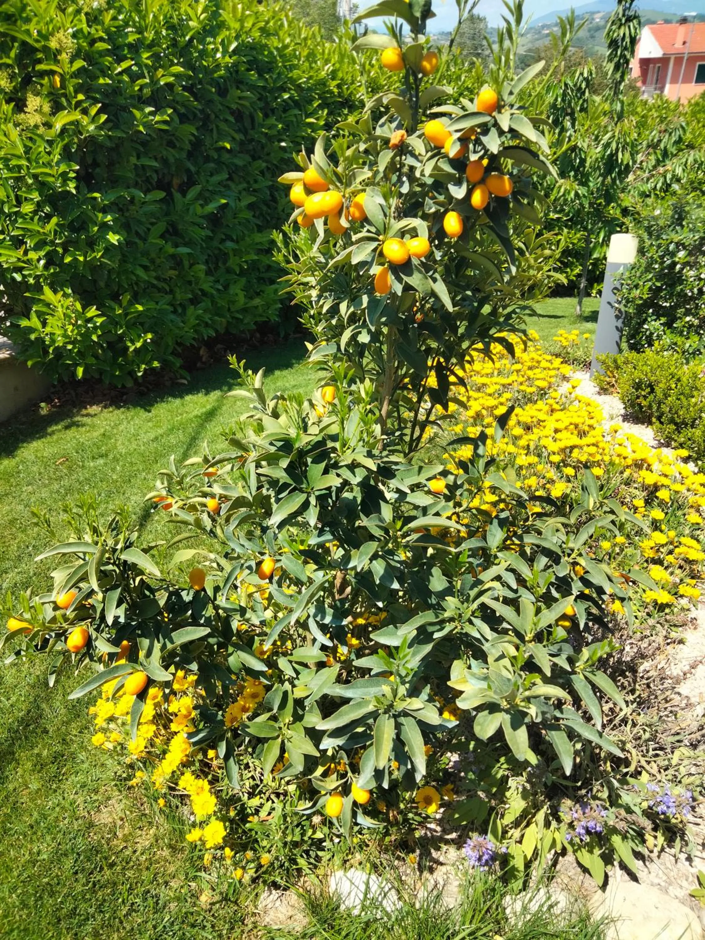 Spring in B&B La Casa di Giuliana