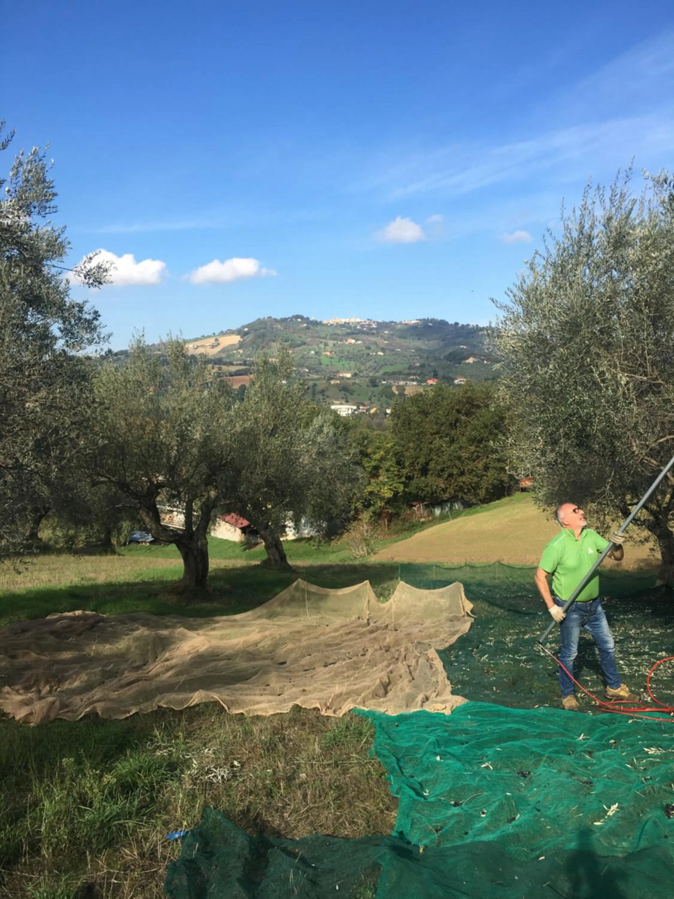 Natural landscape in B&B La Casa di Giuliana