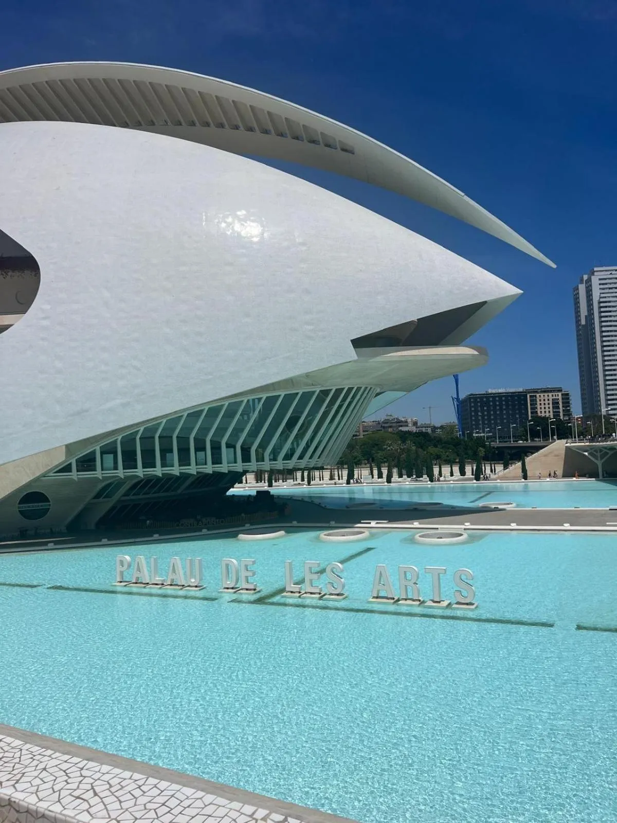 Day in Beach & Arts Hostel Valencia