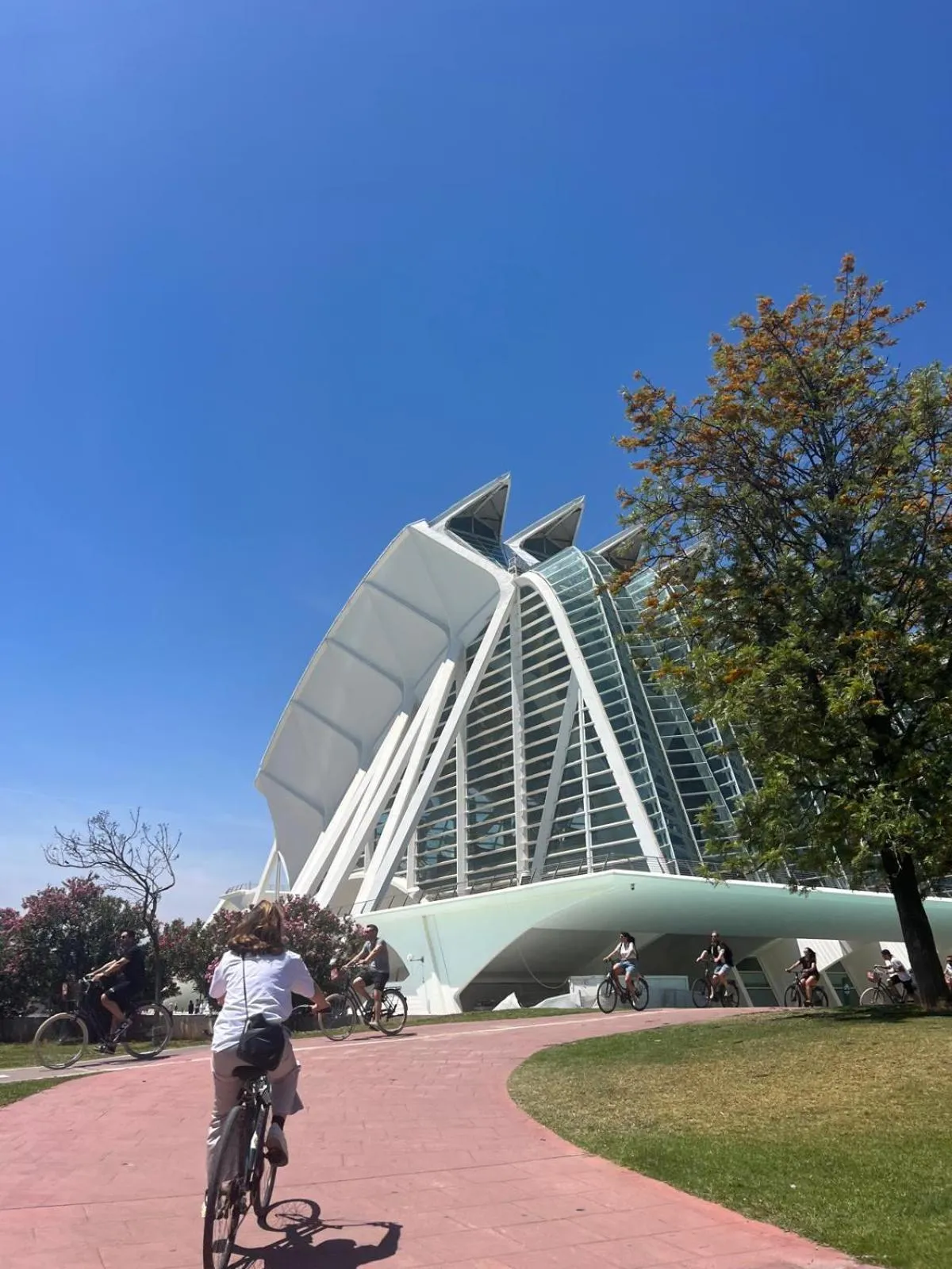 Day in Beach & Arts Hostel Valencia