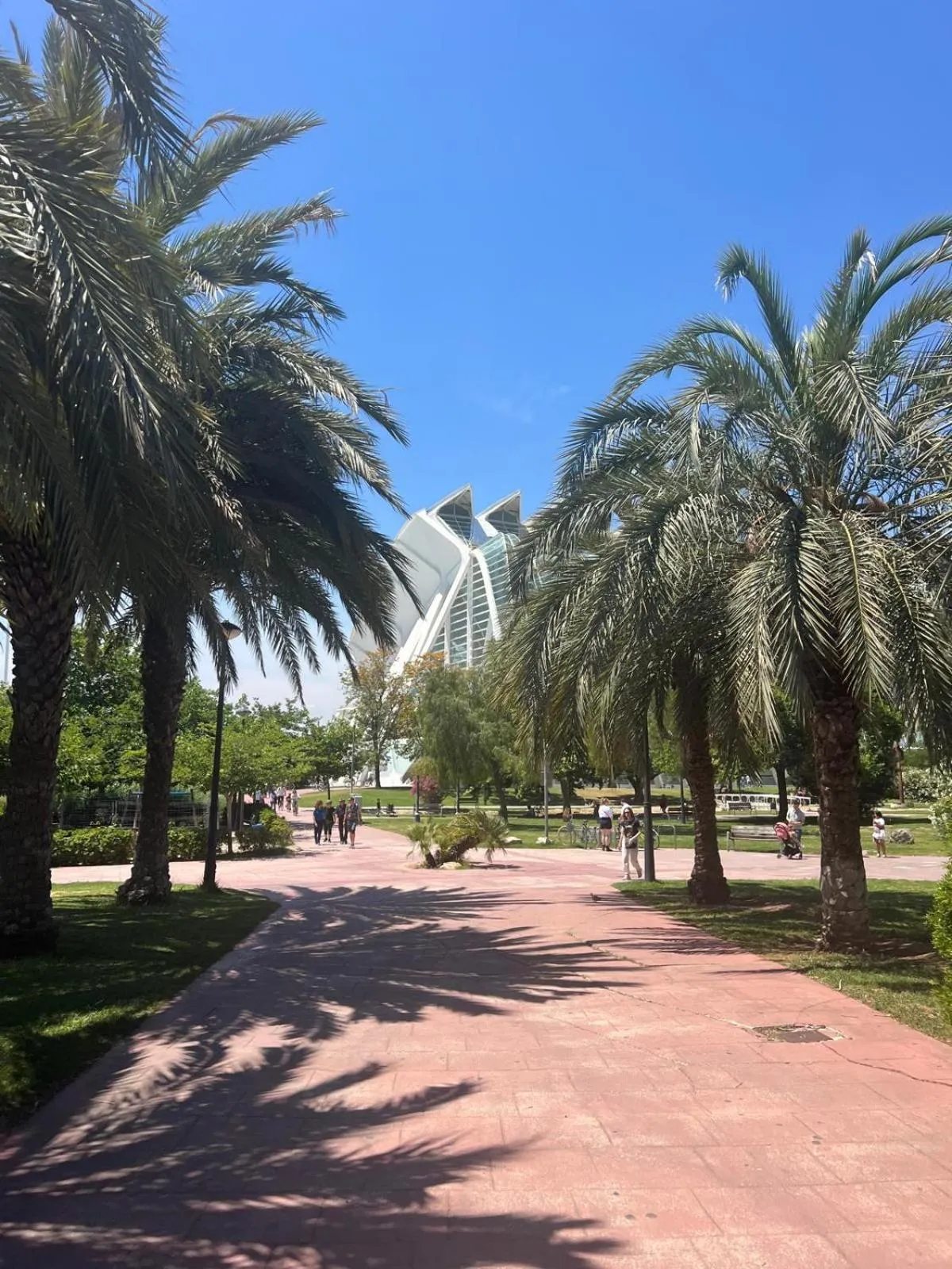 Day in Beach & Arts Hostel Valencia