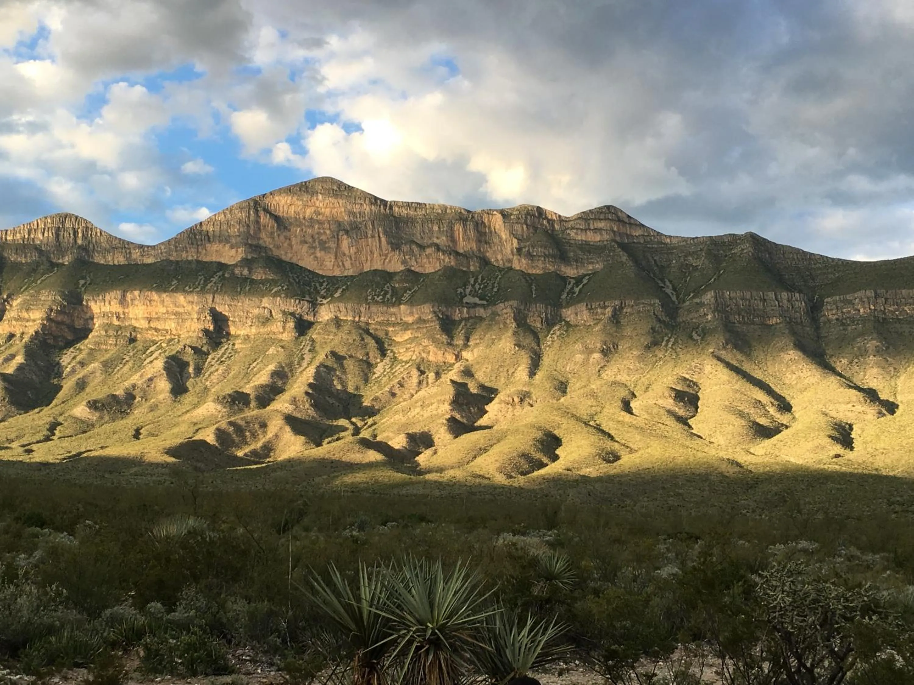 Natural landscape in Hotel Casa Nodin