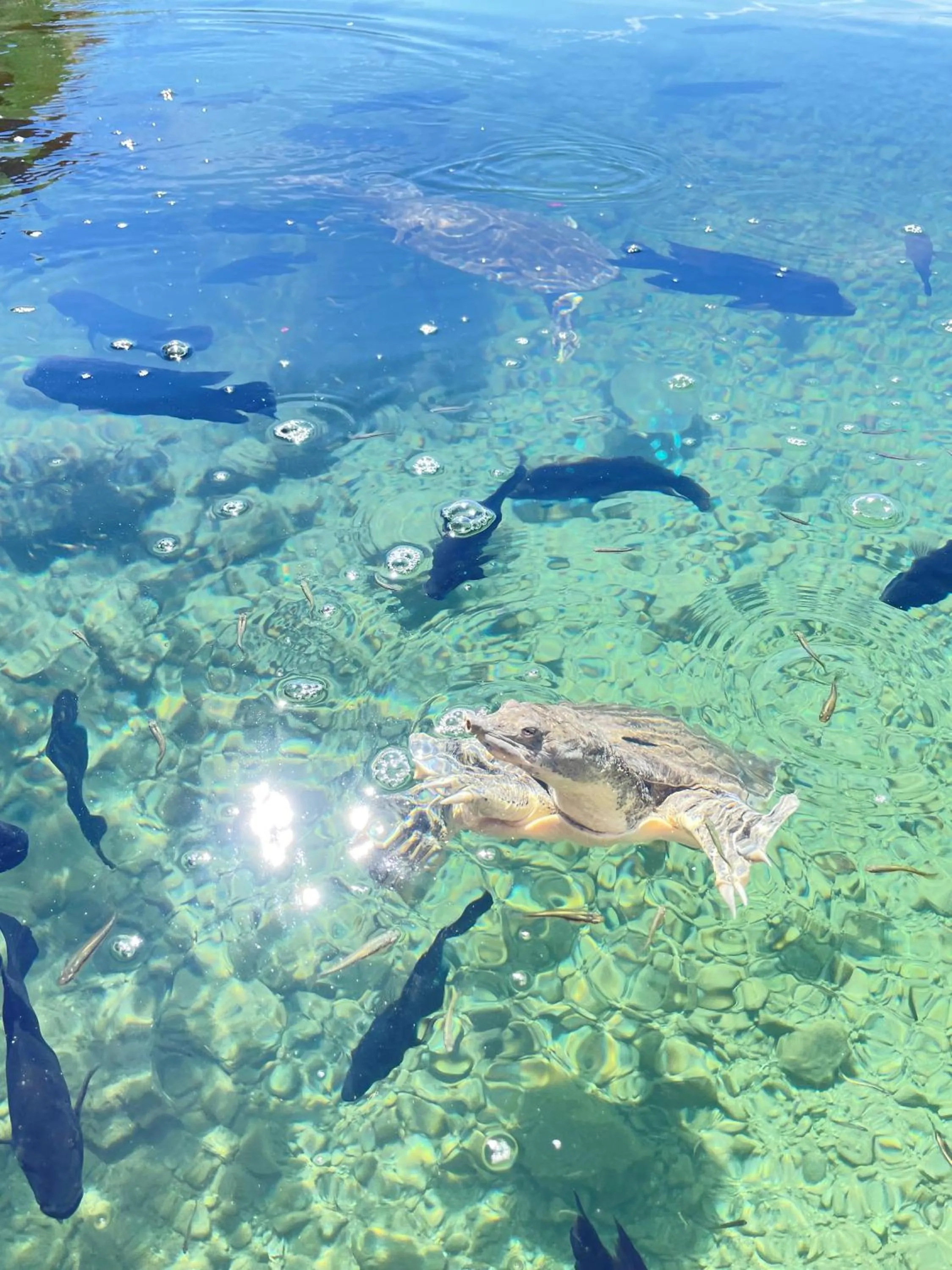 Nearby landmark in Hotel Casa Nodin