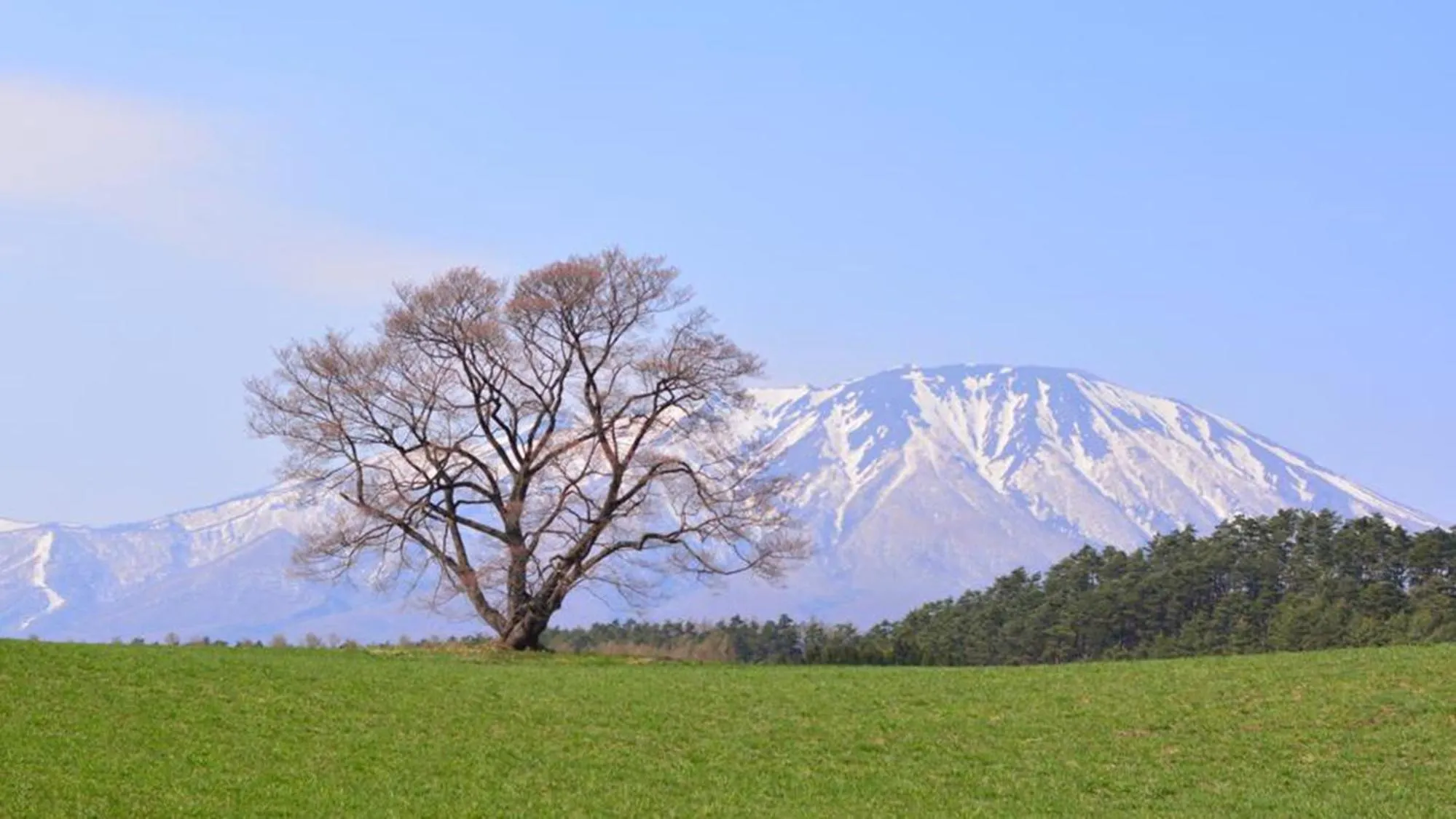 Nearby landmark in Toyoko Inn Kitakami eki Shinkansen guchi