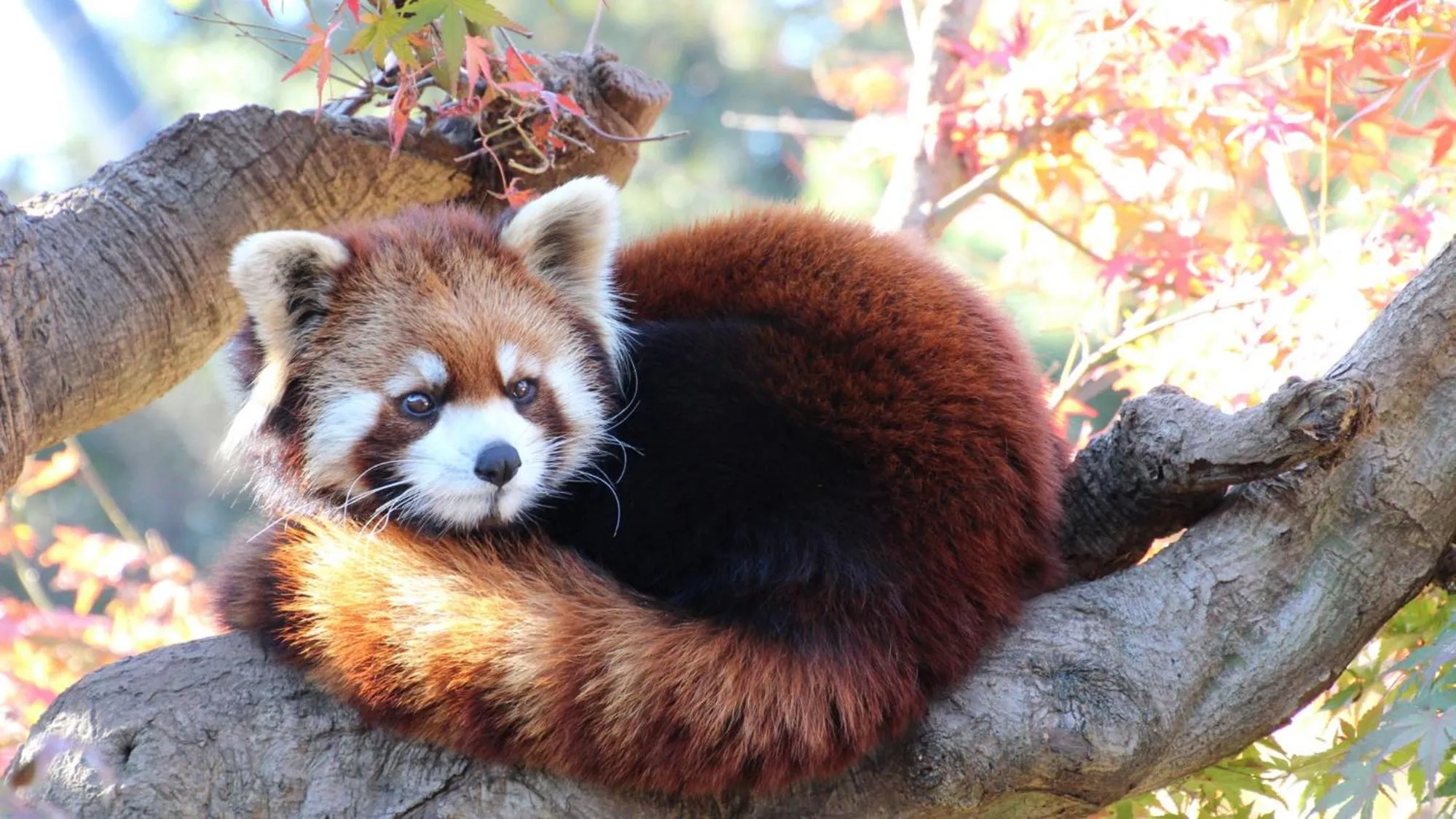 Nearby landmark in Toyoko Inn Chiba Shin kamagaya Ekimae