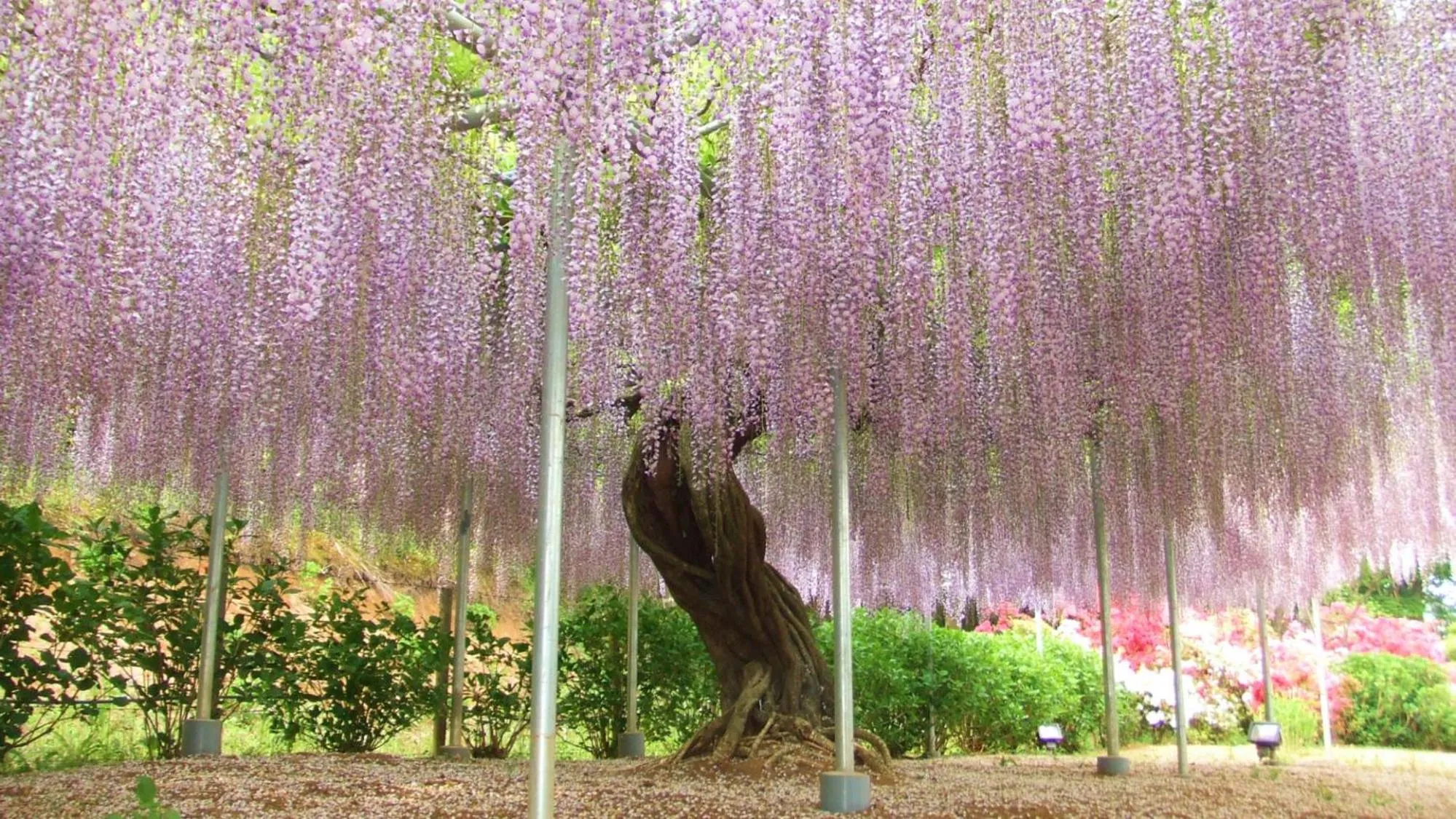 Nearby landmark in Toyoko Inn Tochigi Ashikaga eki Kita guchi