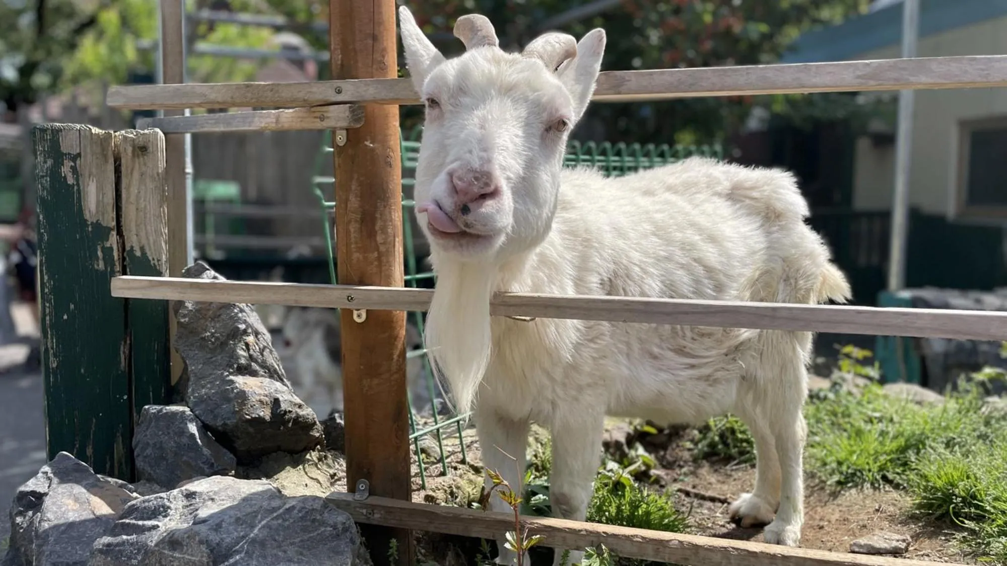 Nearby landmark in Toyoko Inn Tokyo Fussa Ekimae Higashi guchi