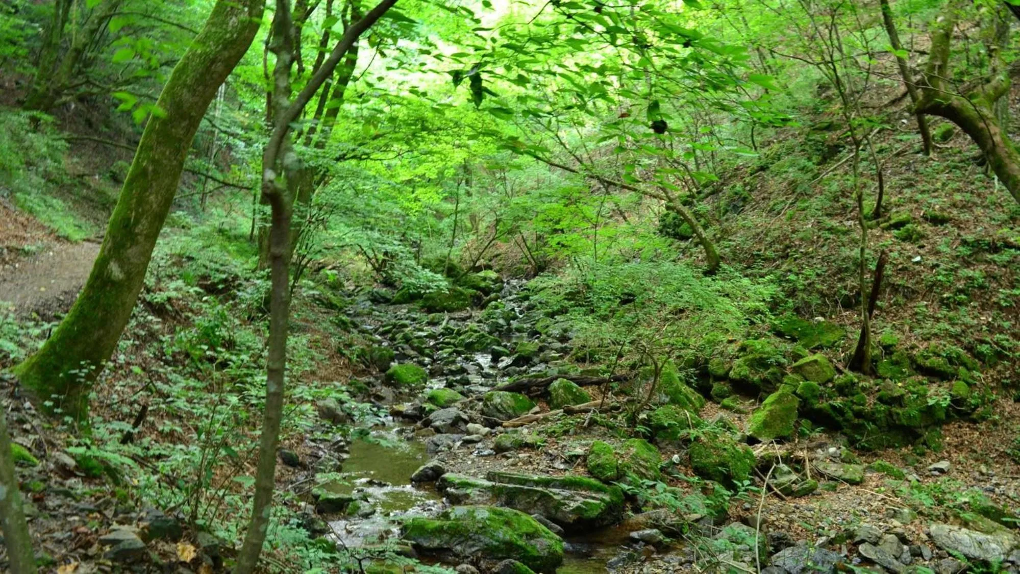 Nearby landmark in Toyoko Inn Tokyo Fussa Ekimae Higashi guchi