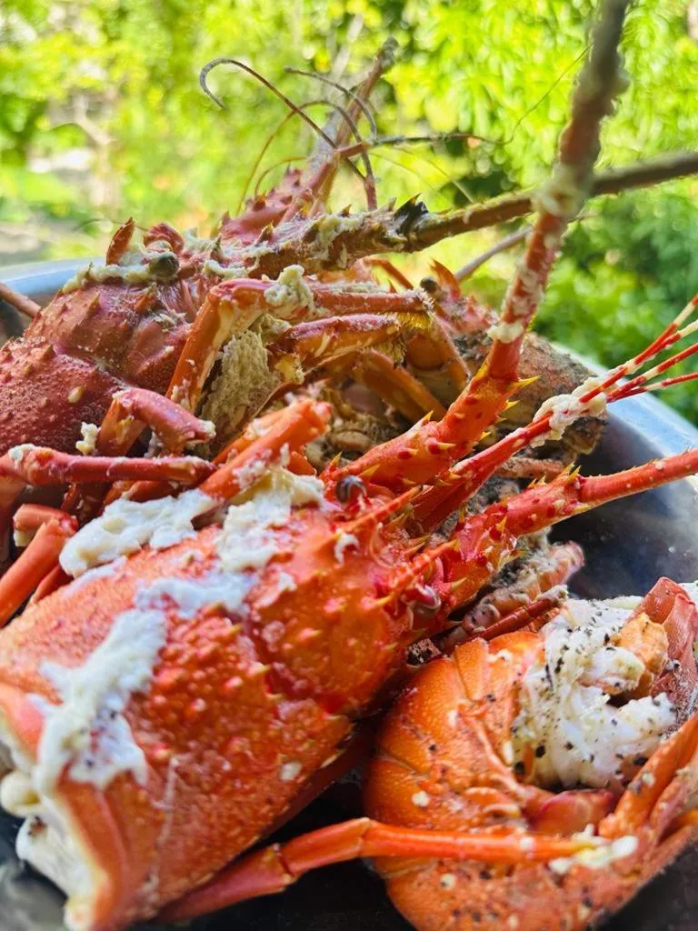 Food and drinks in Lagoon gate Tangalle Resort