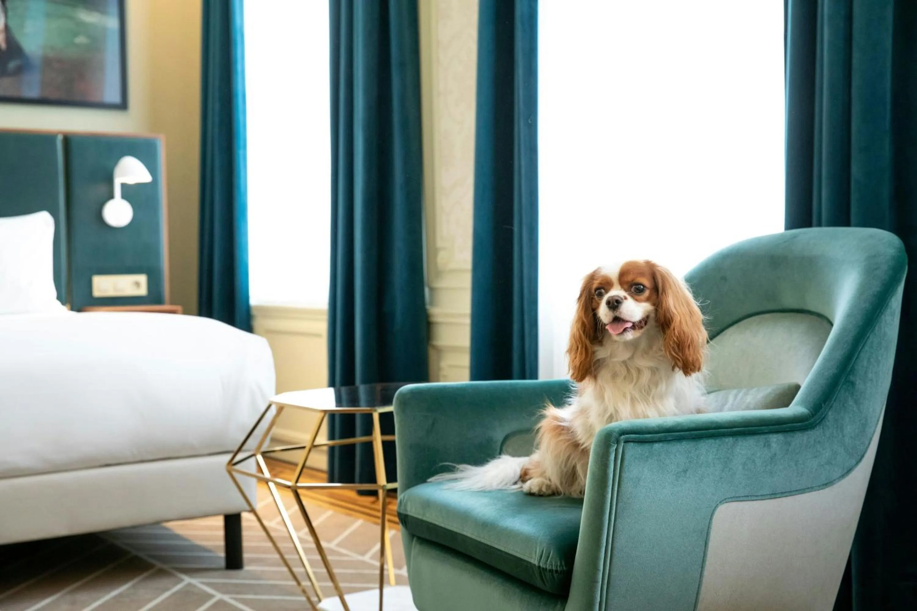 Photo of the whole room in Sapphire House Antwerp, Autograph Collection