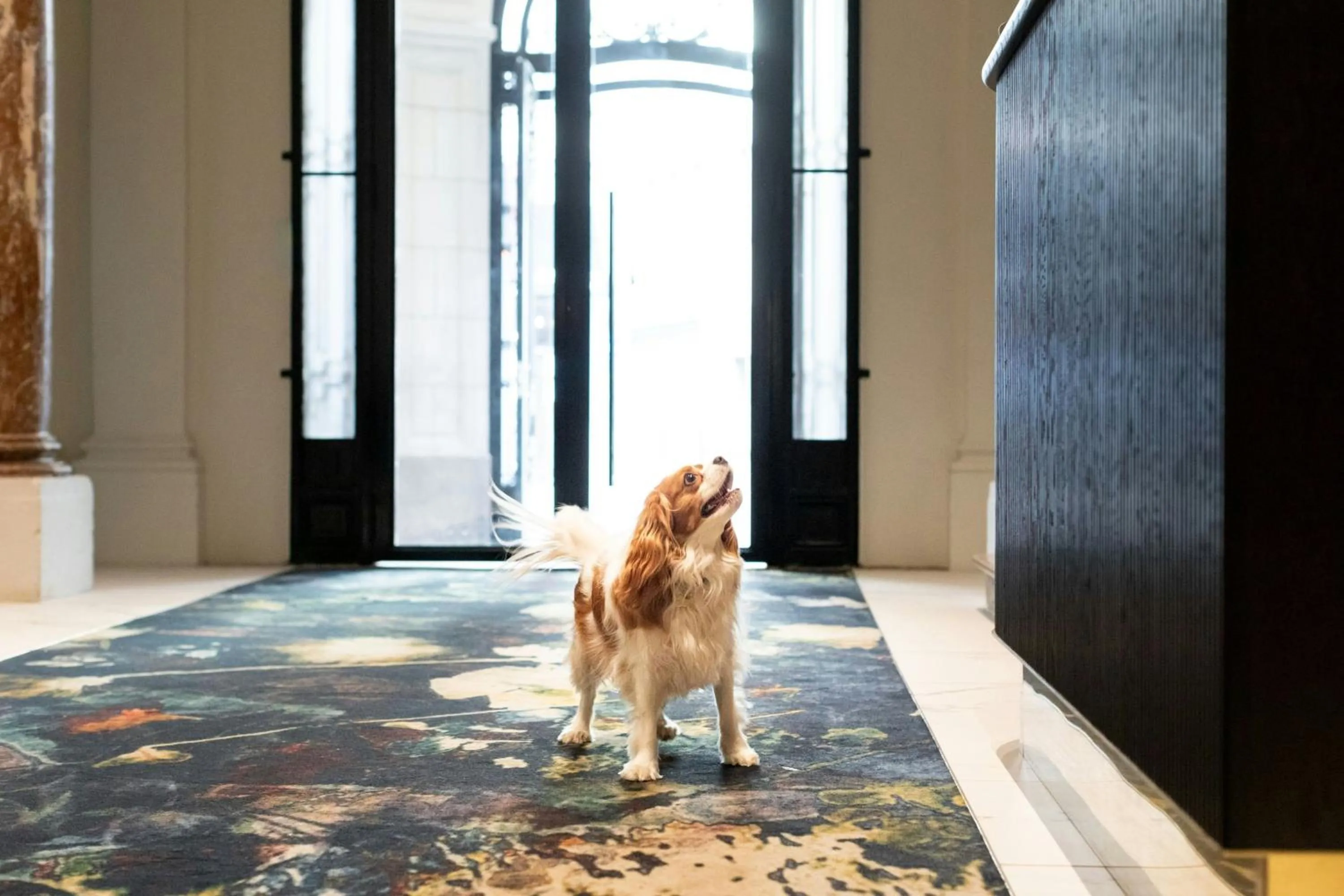 Other in Sapphire House Antwerp, Autograph Collection