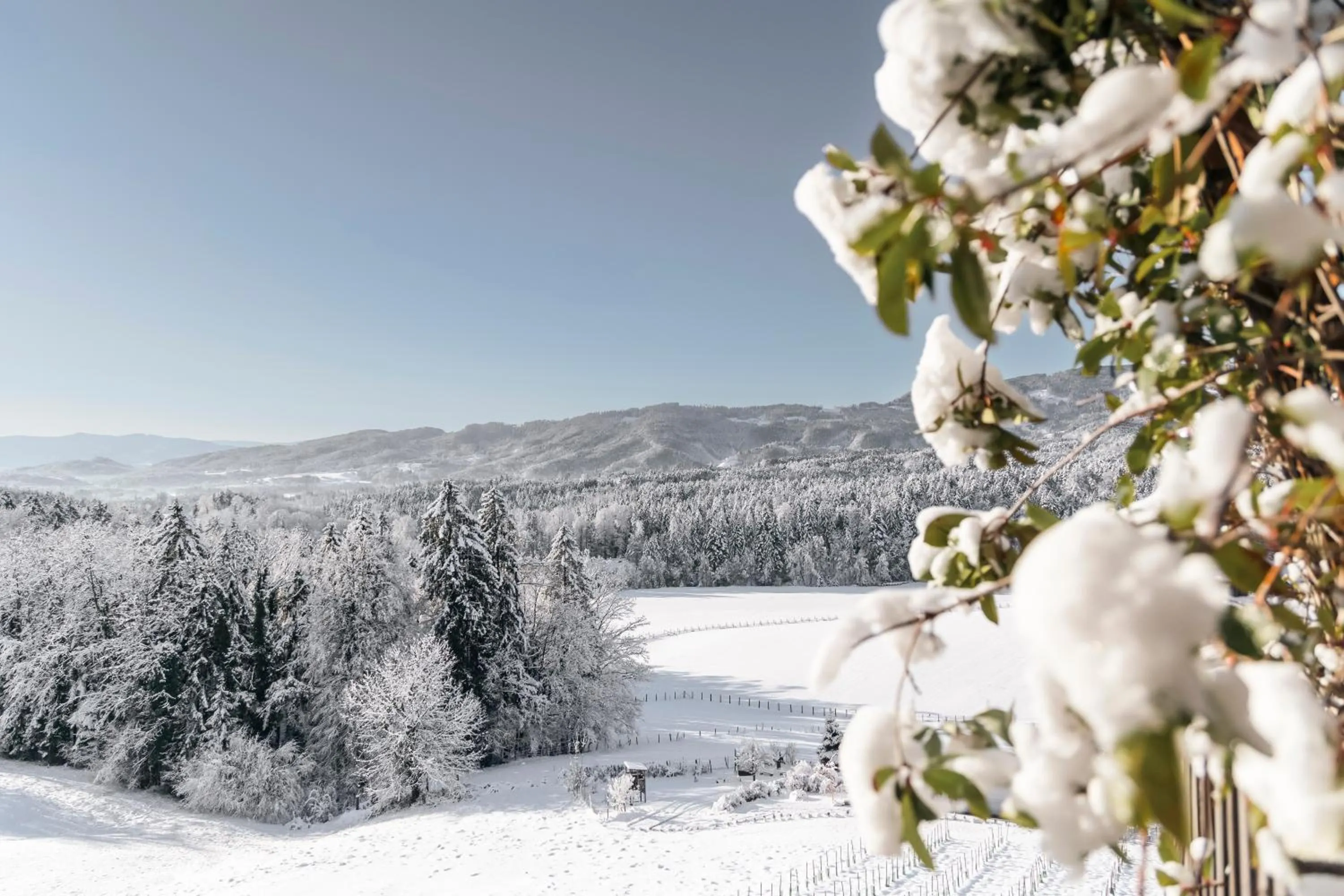 Natural landscape in Boutiquehotel DAS ZEITWERT