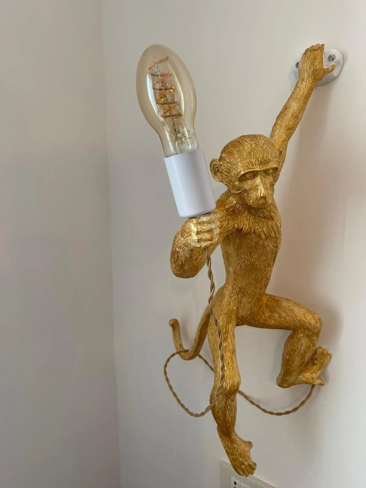 Decorative detail in Urban jungle rooms