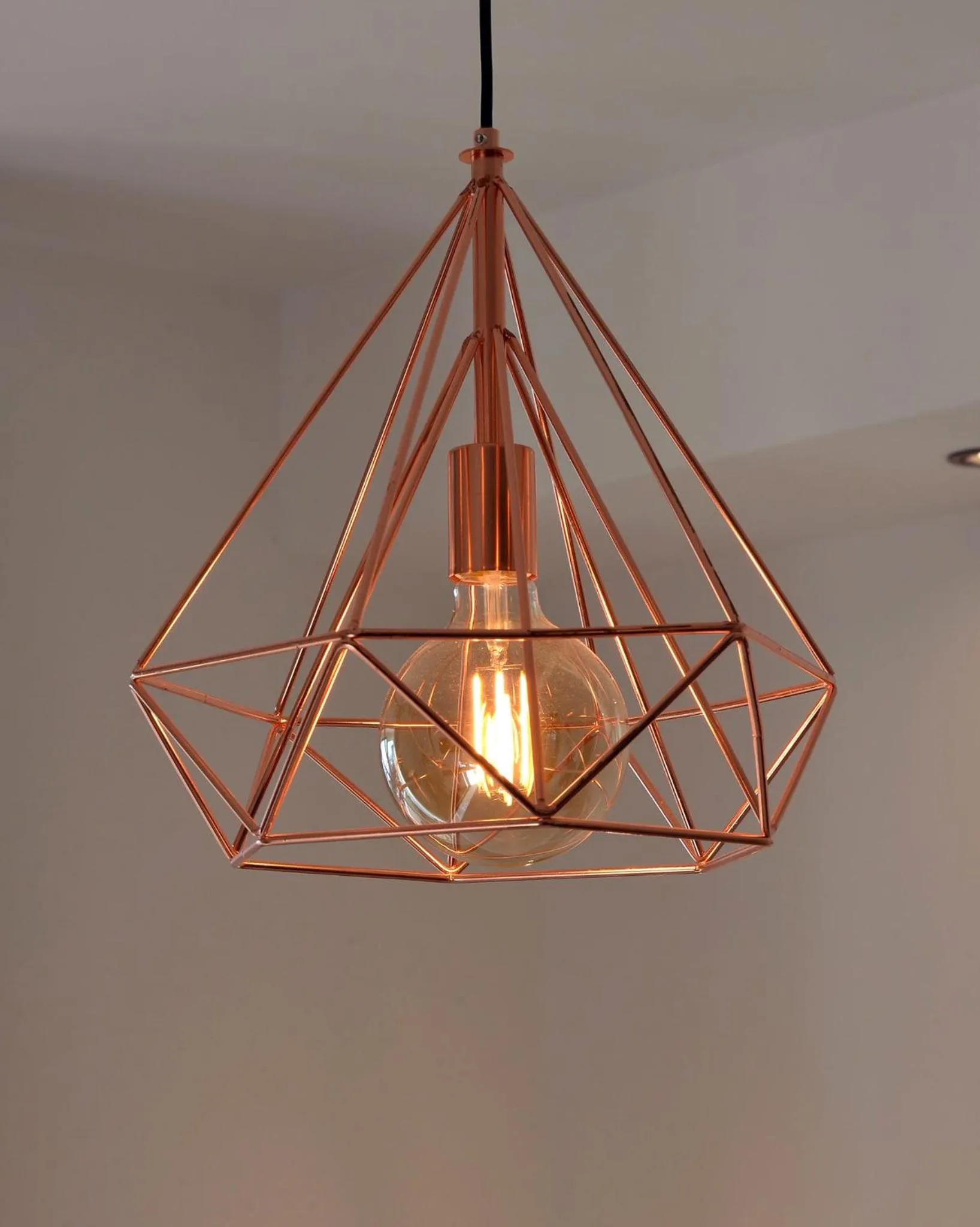 Toilet in Urban jungle rooms