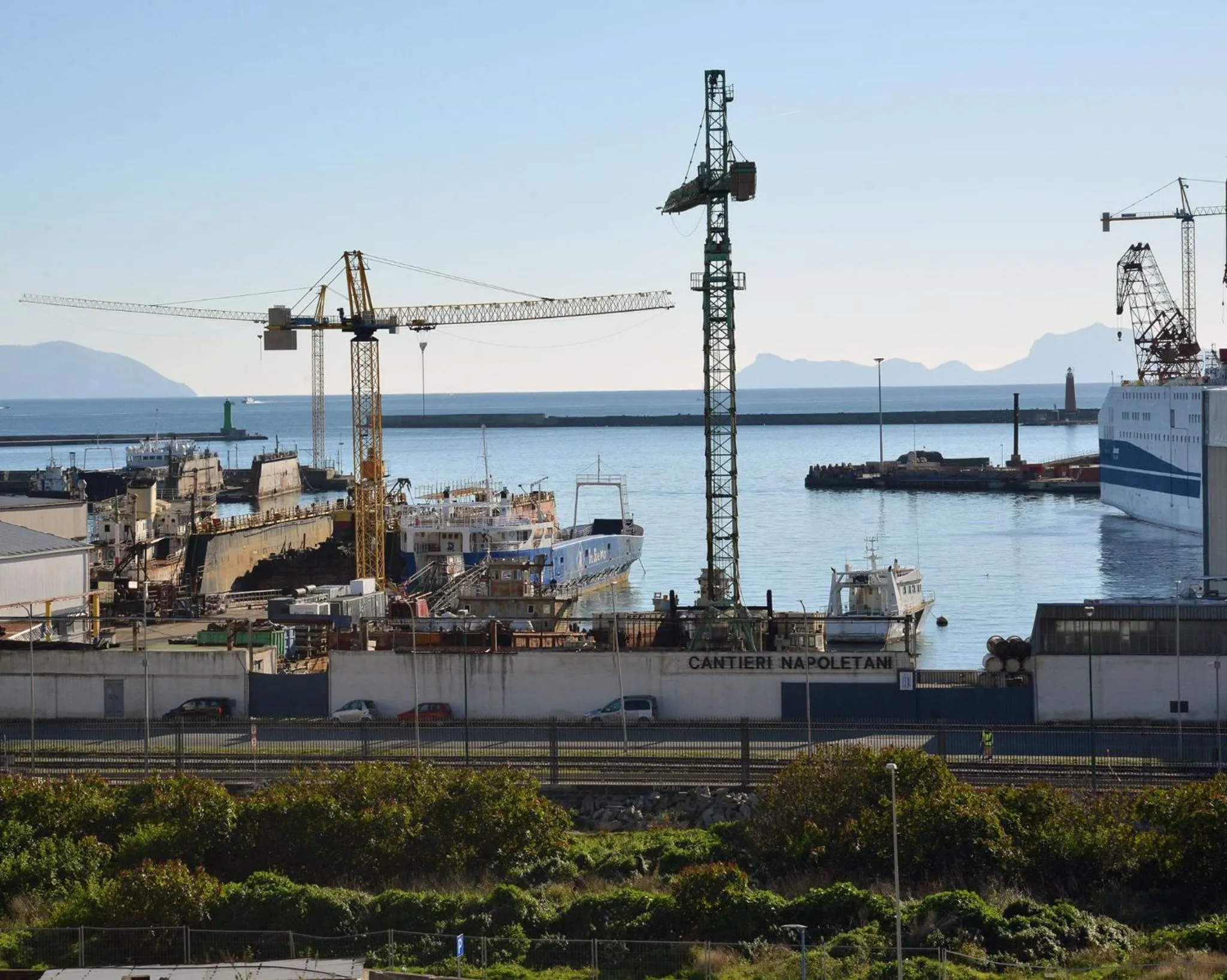 View (from property/room) in Urban jungle rooms