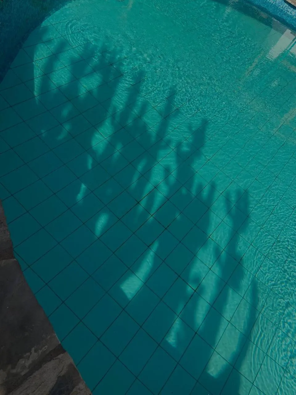 Pool view in Hosteria Suiza