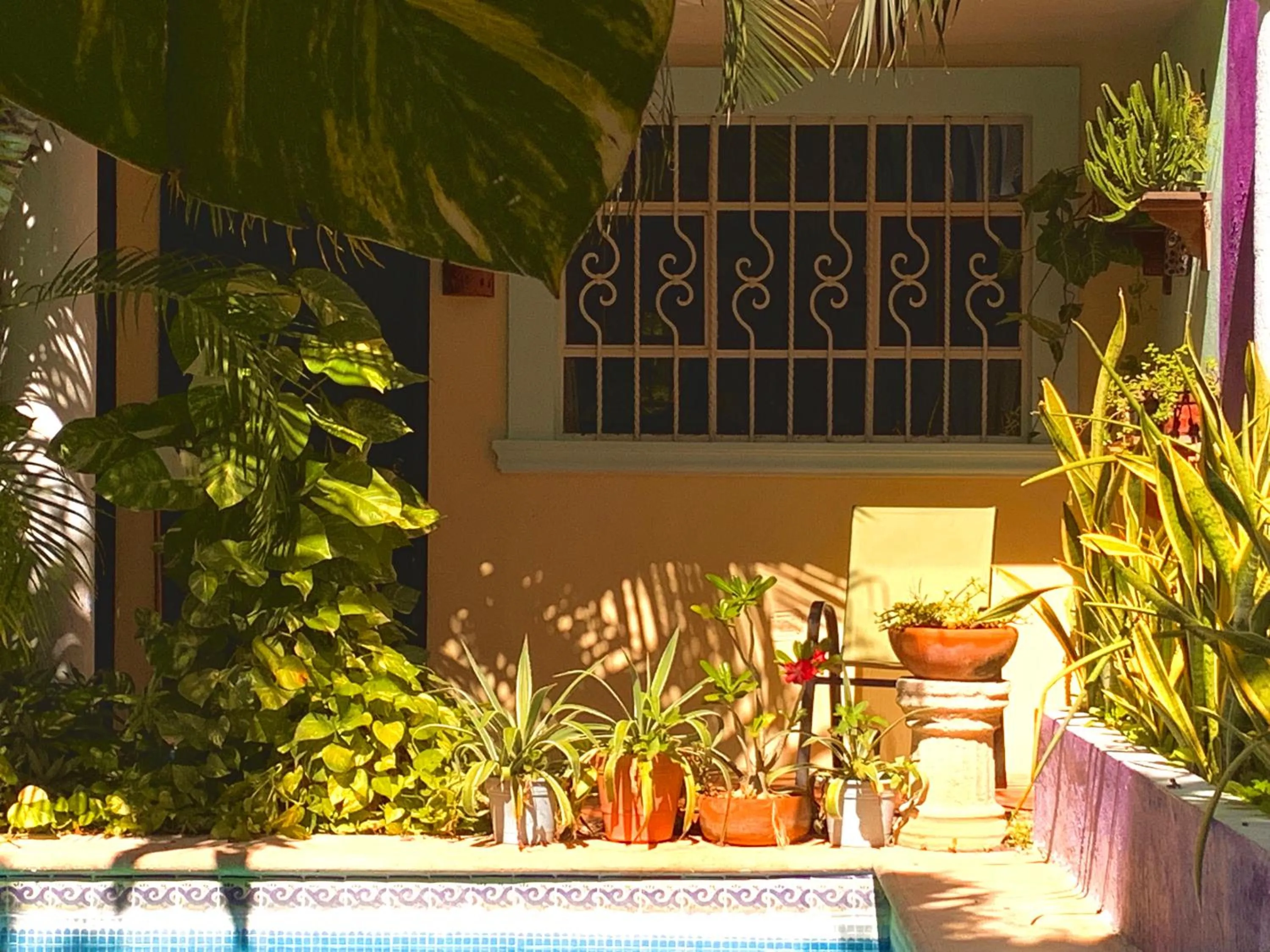 Property building in Hotel Santa Ana