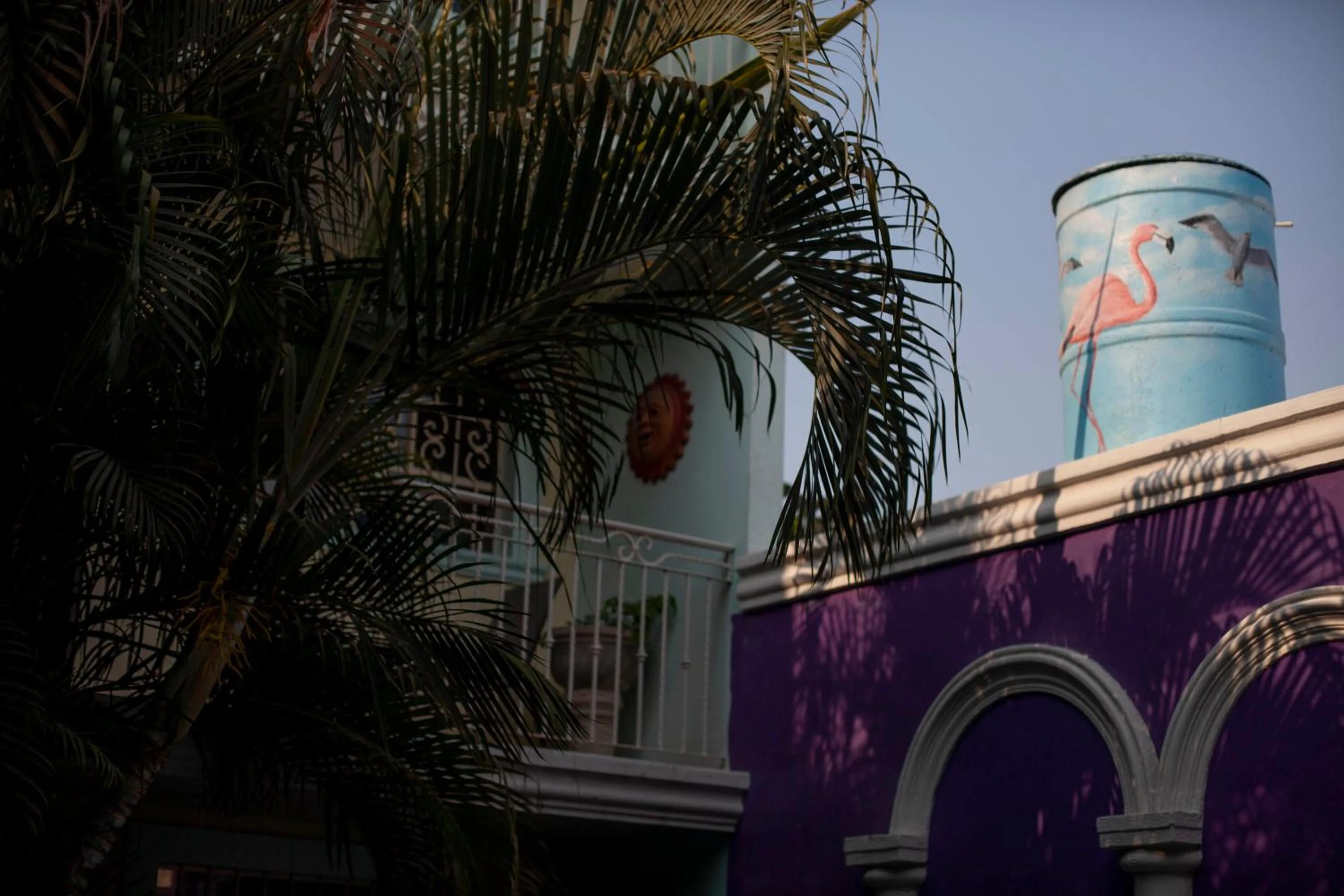 Garden view in Hotel Santa Ana