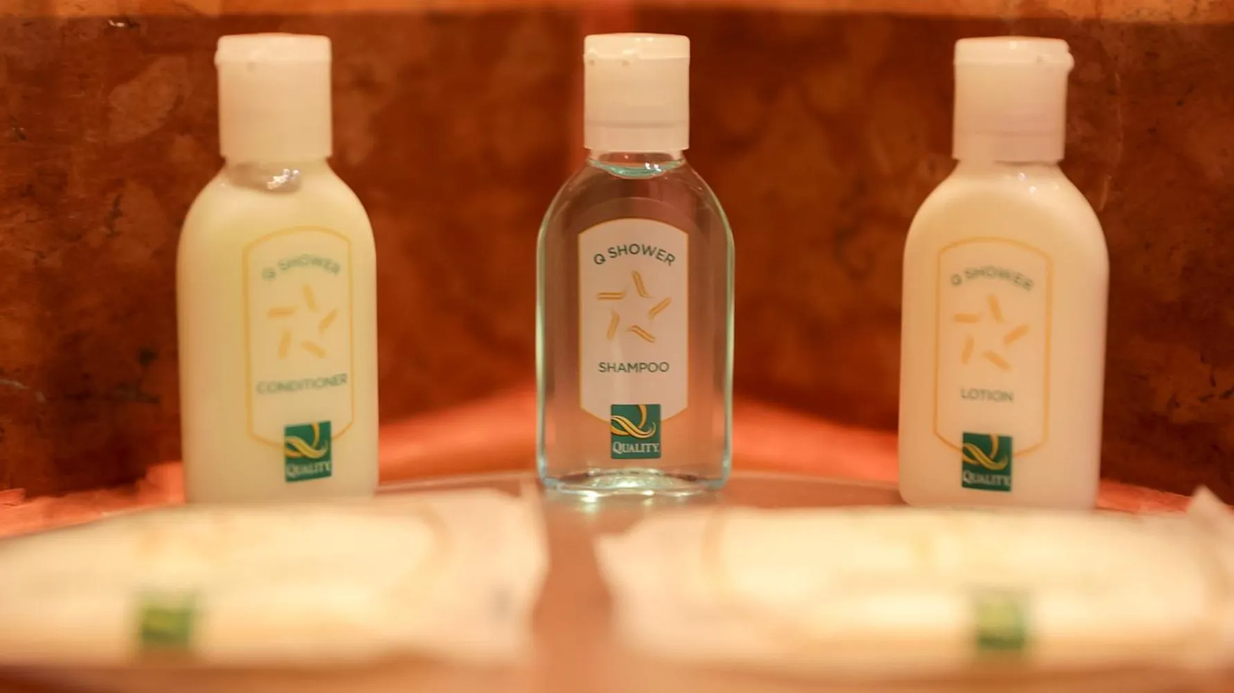 Bathroom in Quality Hotel Real Aeropuerto Santo Domingo