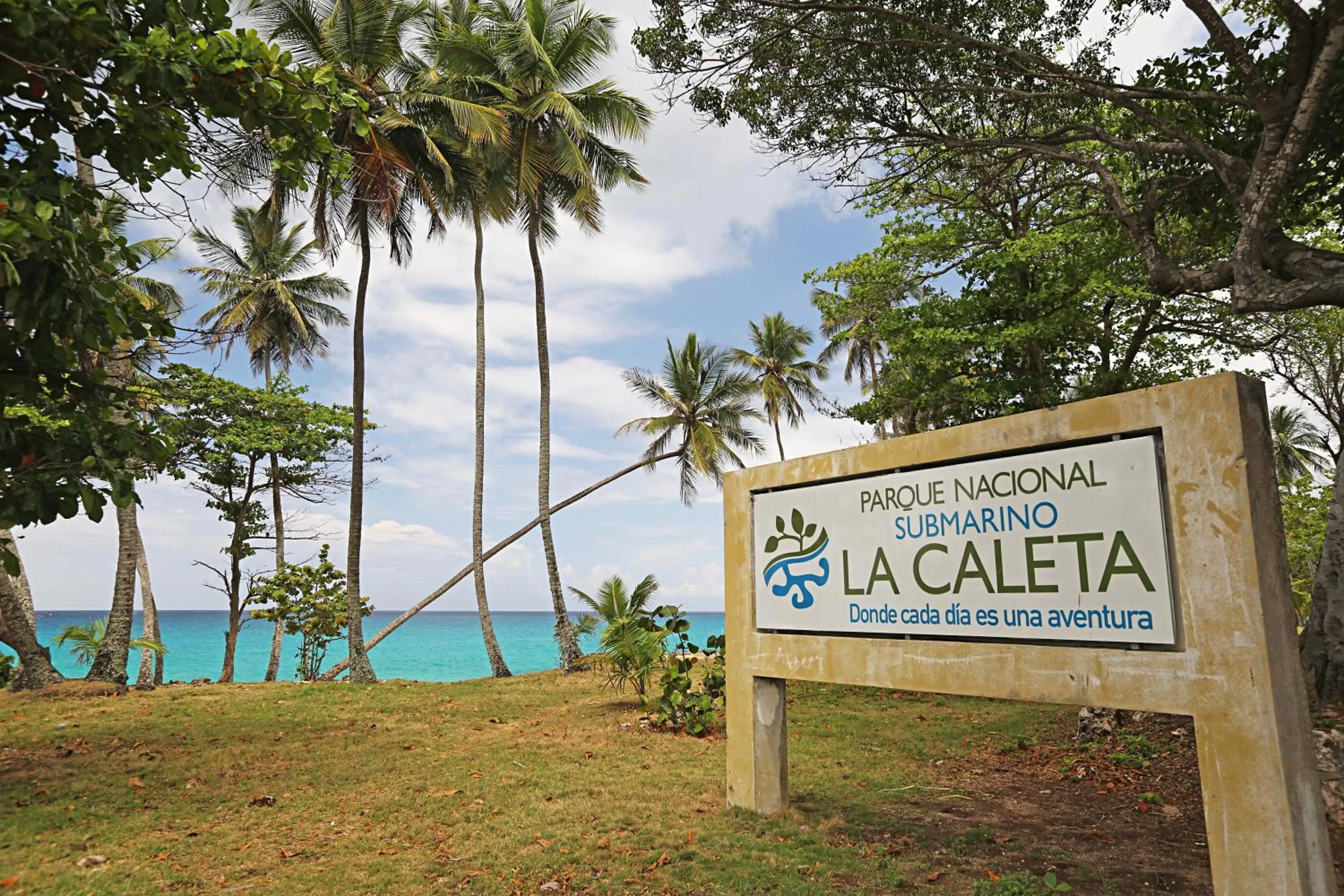 Day in Quality Hotel Real Aeropuerto Santo Domingo