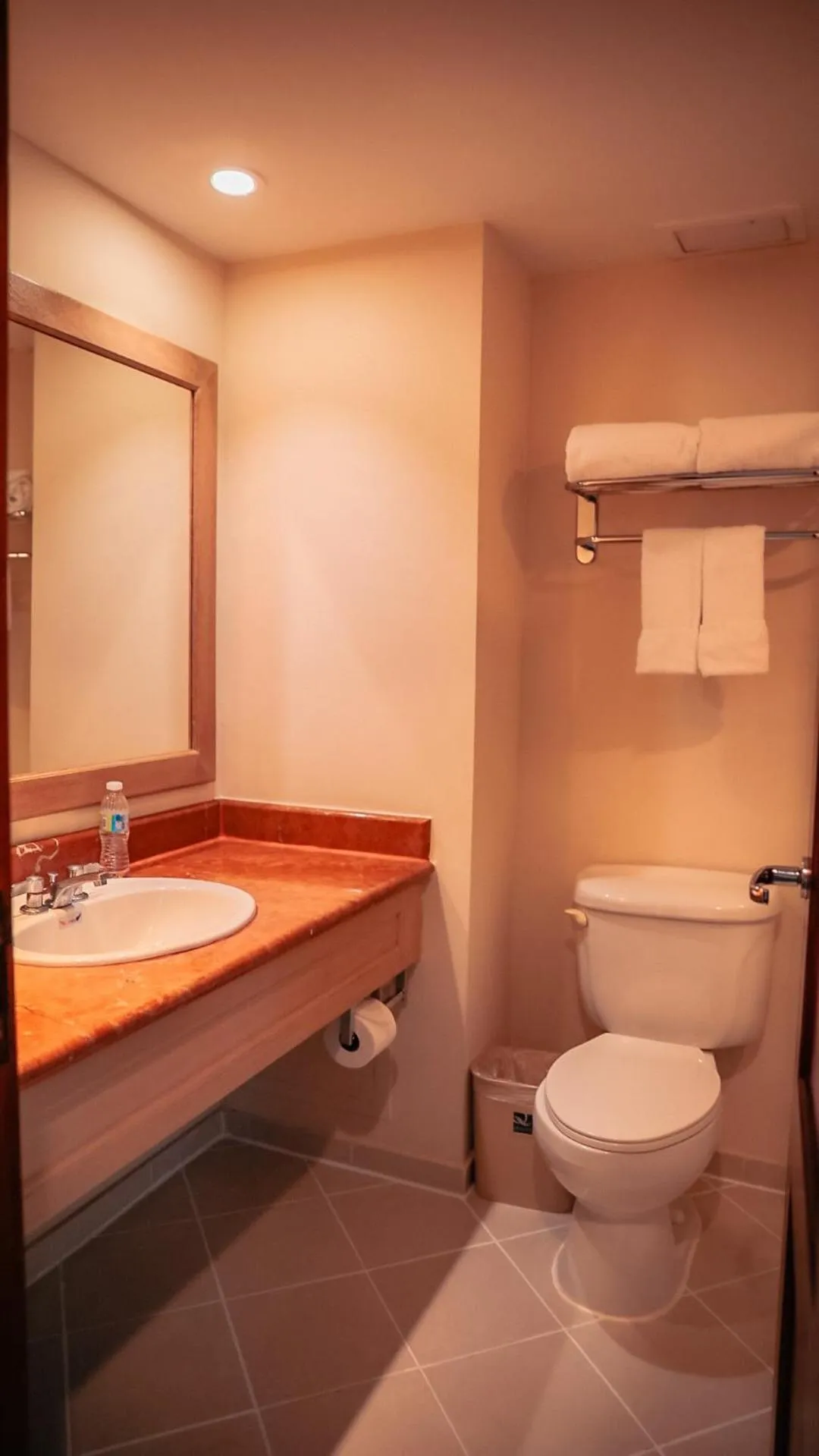 Toilet in Quality Hotel Real Aeropuerto Santo Domingo