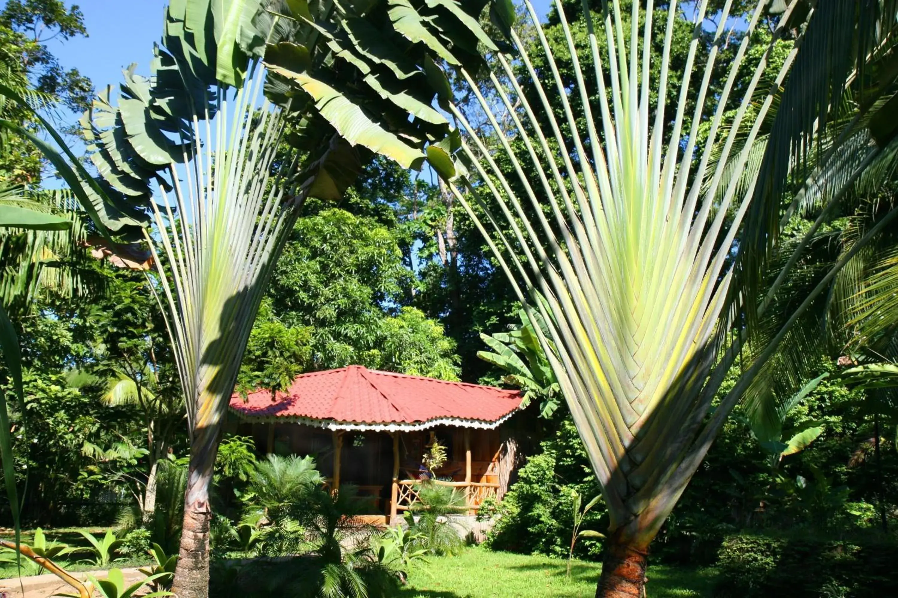 2 Bed Bungalow A in Hotel La Costa de Papito 2 Bed Bungalow A in Hotel La Costa de Papito