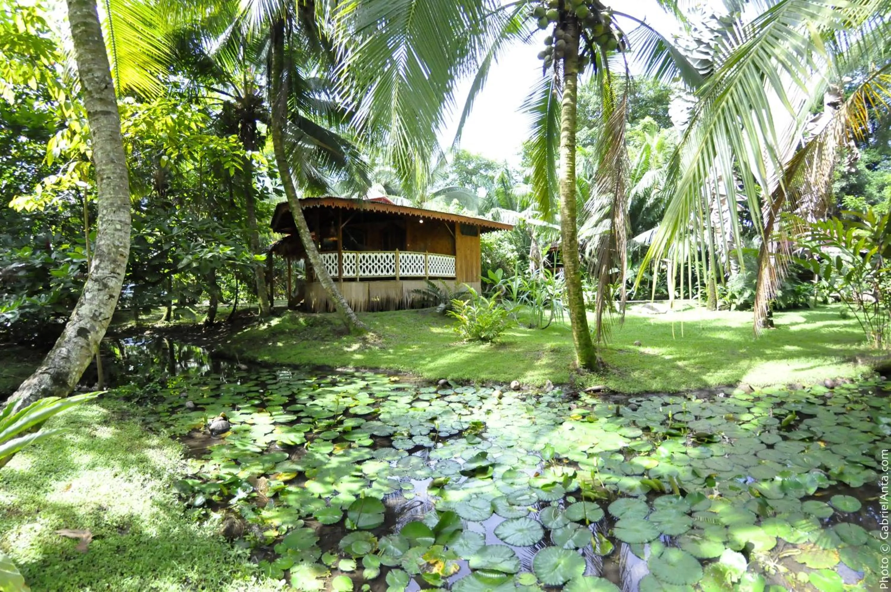 Natural landscape in Hotel La Costa de Papito