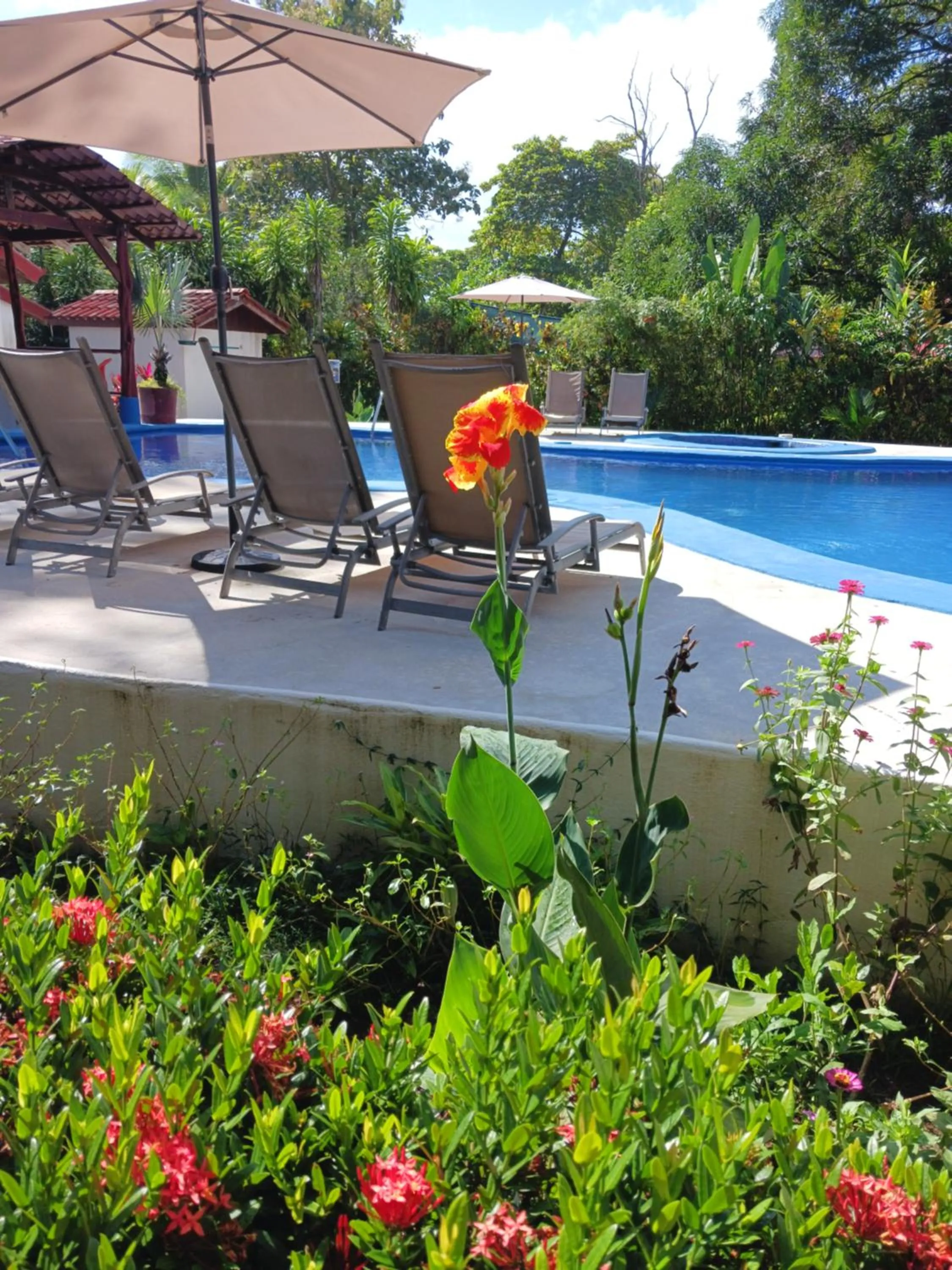 Pool view in Agua Dulce On The Beach