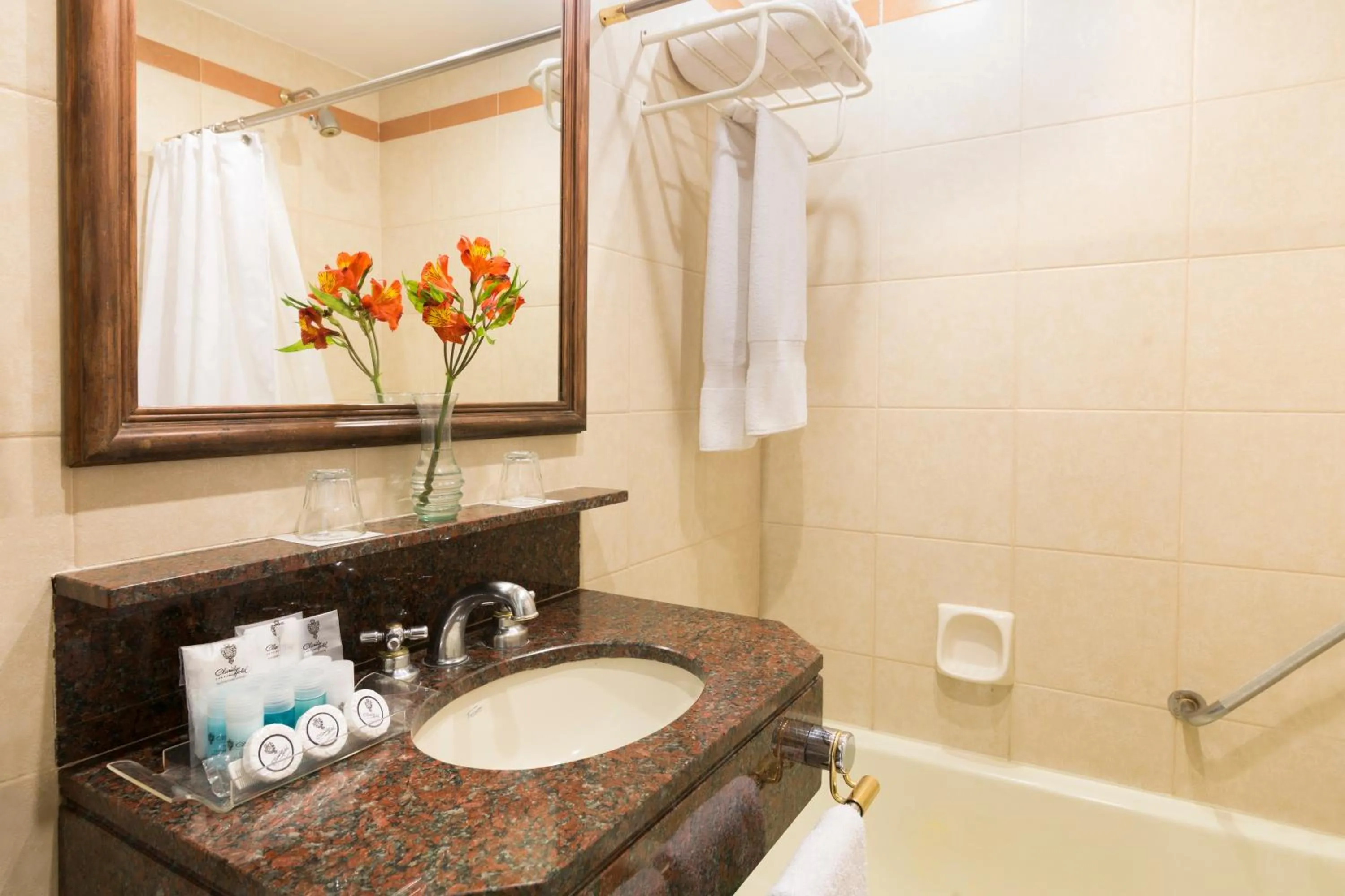 Toilet in Claridge Hotel