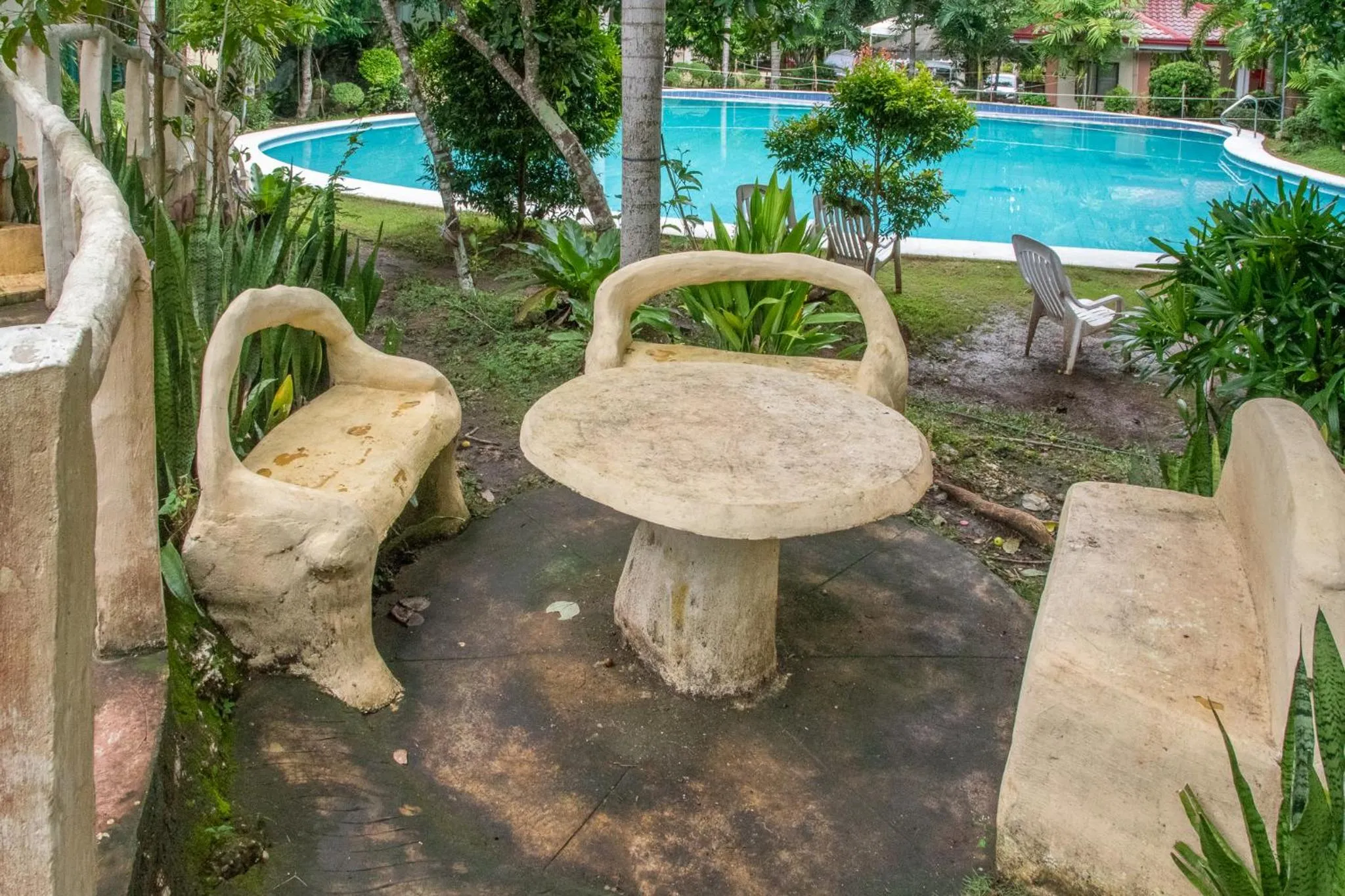 Pool view in Almira Diving Resort- Panglao
