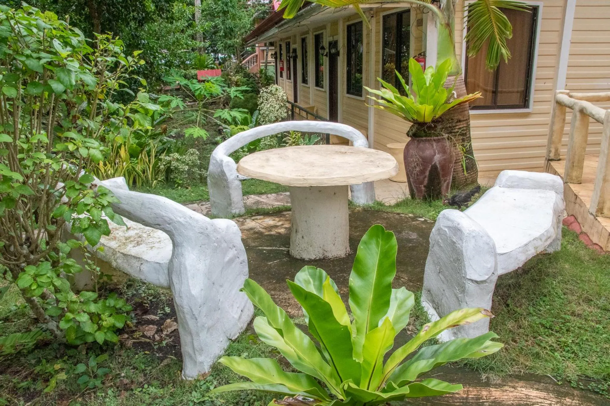 Almira Diving Resort- Panglao