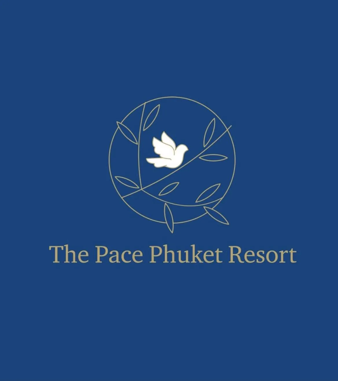 Property logo or sign in The Pace Phuket Boutique Resort