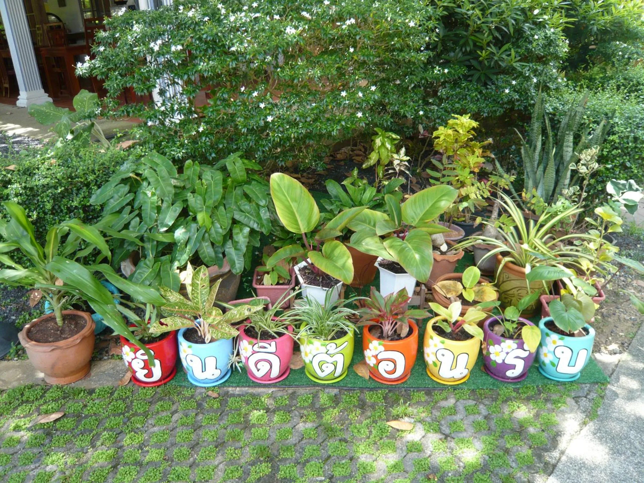 Garden in The Pace Phuket Boutique Resort