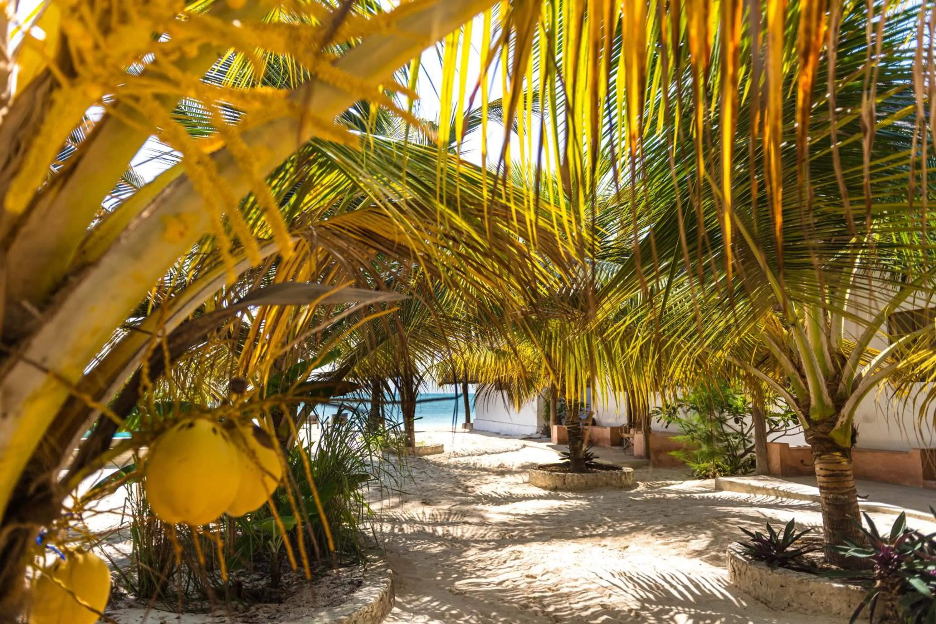 Property building in Cinnamon Hotel